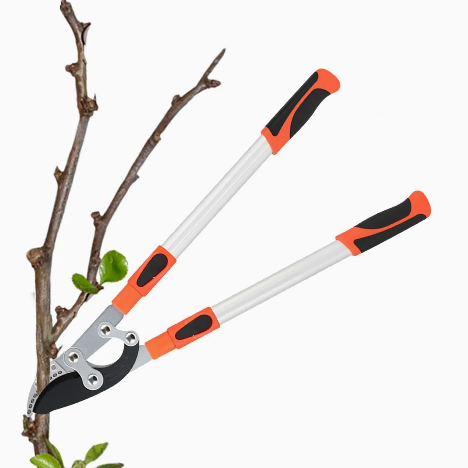 Tijeras de podar telescópicas con extensibles, resistentes tijeras de podar, cortadoras de plantas, para arbustos, flores, plantas, bonsáis, zarcillos, exteriores, patio, , paisaje