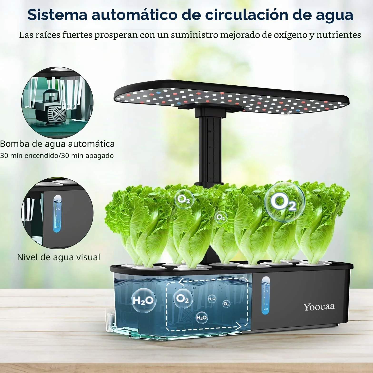 Sistema de Cultivo hidropónico de 12 cápsulas con luz LED de Crecimiento y Temporizador automático, Kit de jardín de Hierbas Ajustable para Interiores y Cocina (19.4 Pulgadas de Altura máxima)