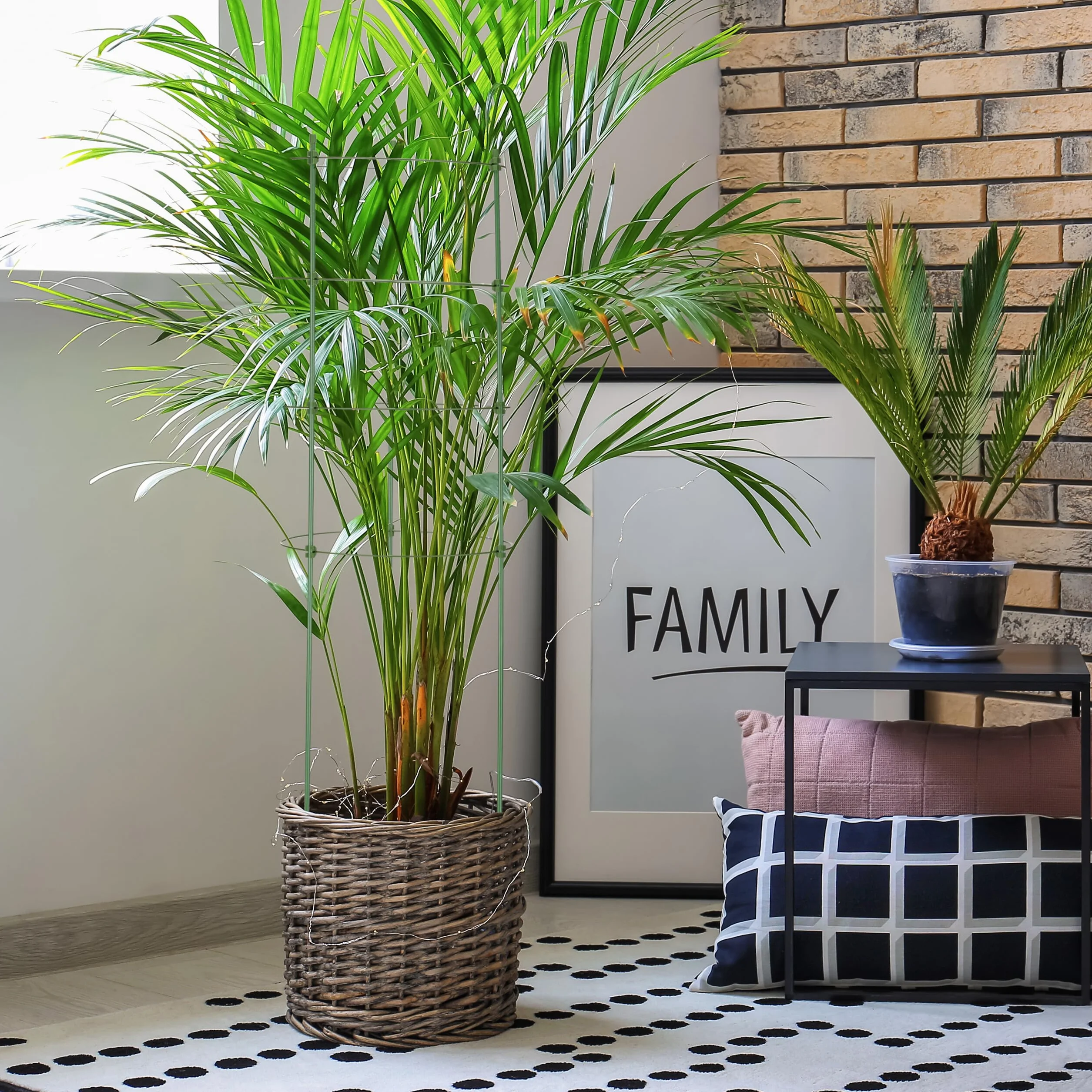 Relaxdays Pack 10 Tutores Plantas, 90 cm Alto, Soporte Enredaderas 4 Anillos, Guía Trepadoras, Metal y Plástico, Verde