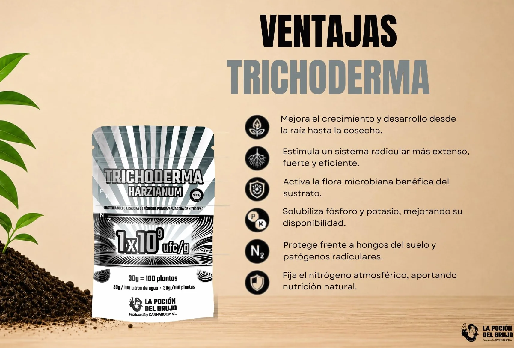 Trichoderma Harzianum = 1x10⁹ ufc/g | Bacterias de la rizosfera 1x10³ ufc/g (100p) - "Cannaboom" | Defensa radicular avanzada | Más vigor y raíces sanas | Microbiología útil de alto rendimiento