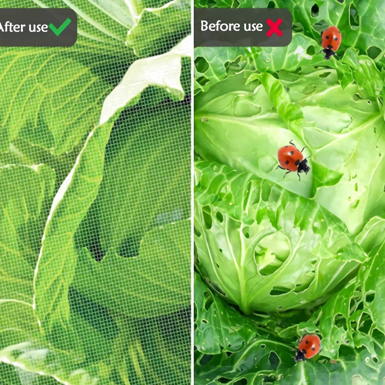 Red Anti Insectos,100-Mallas Túnel de Cultivo de Malla Fina para Protección de Plantas,Red Antipájaros para Flores, Frutas, Verduras,6x10m Red de Protección contra Insectos
