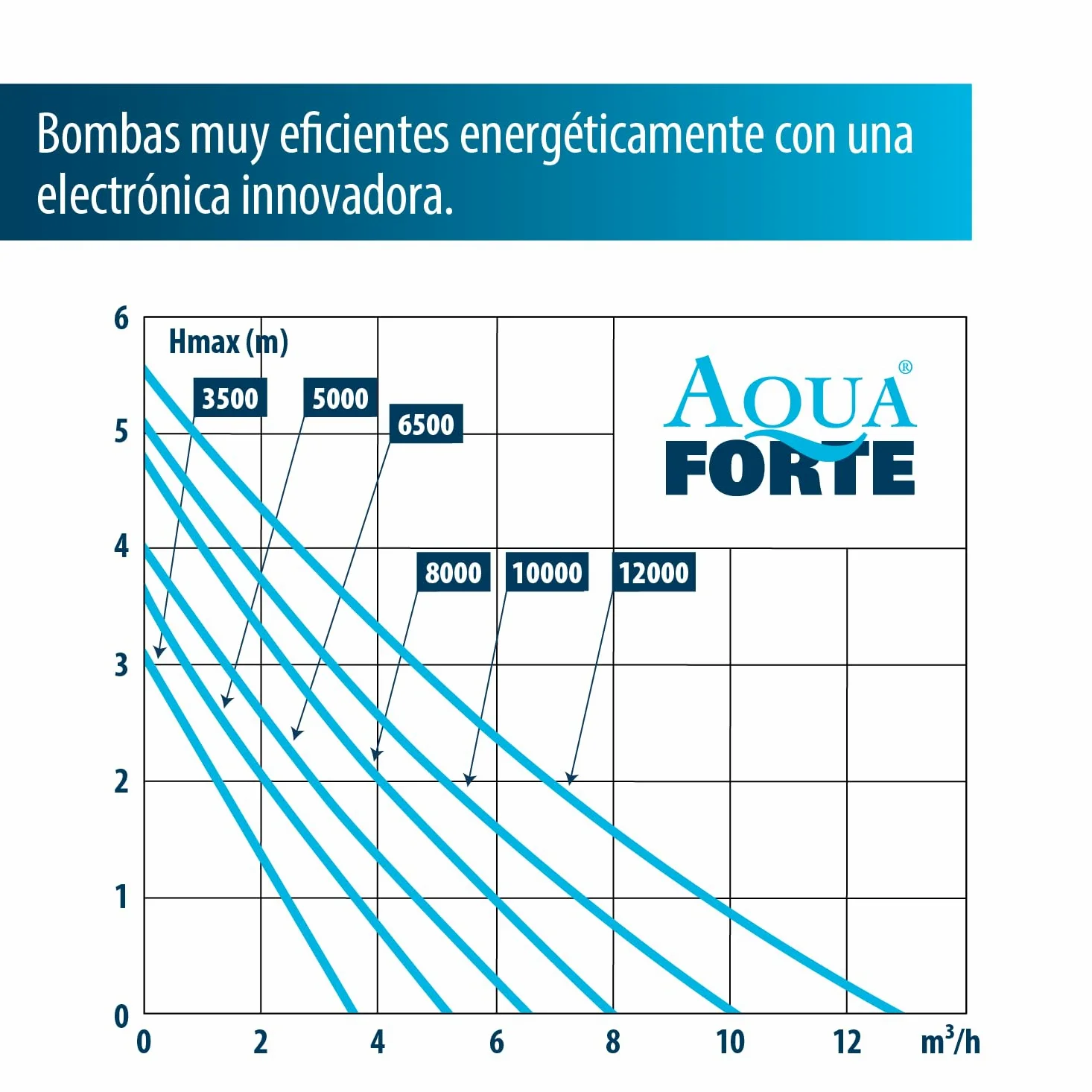 AquaForte Bomba de estanque DM 10000 de bajo voltaje 12 voltios 85 vatios, caudal 10m3 p/h, altura de impulsión 5 m, protección automática contra funcionamiento en seco, longitud del cable 10 m