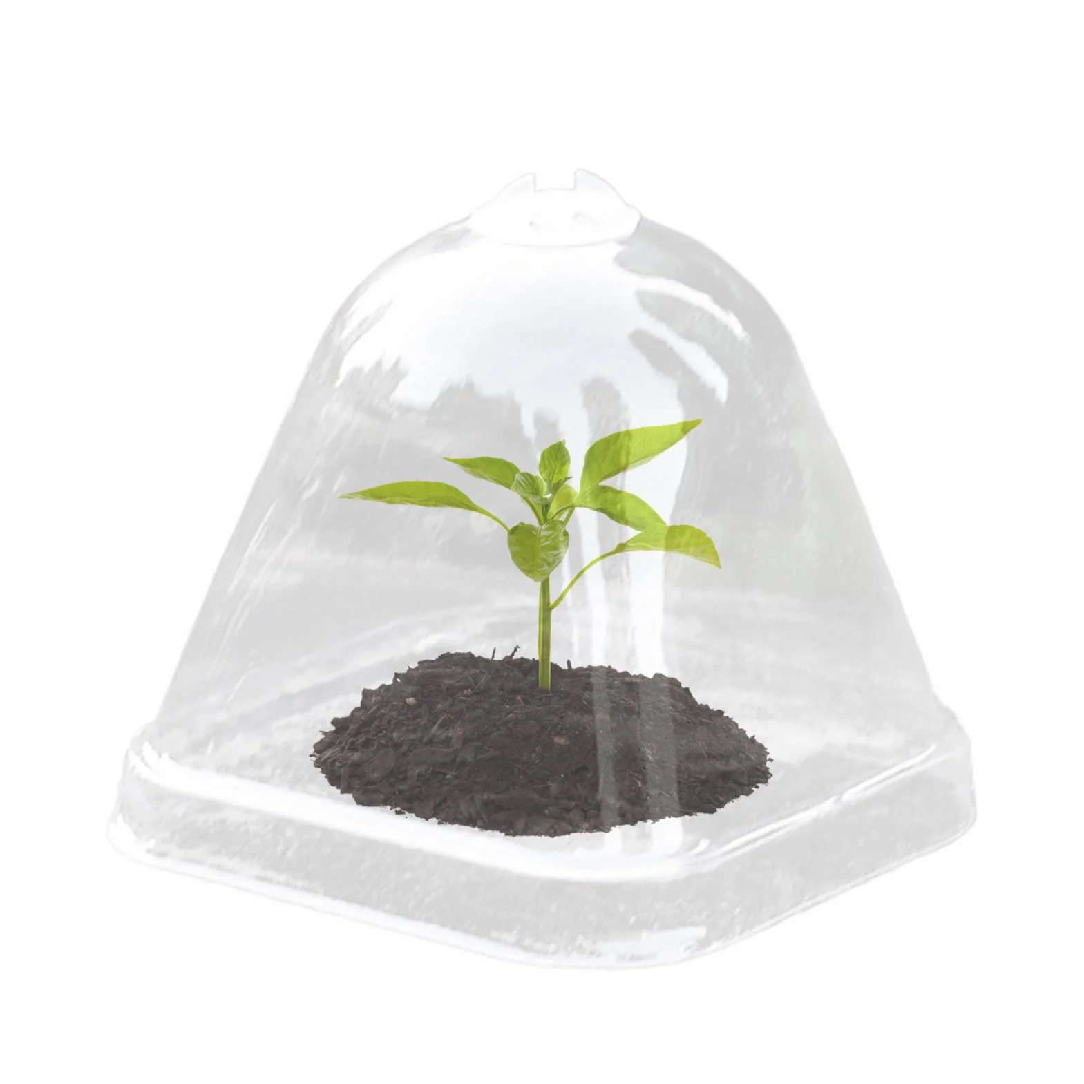 Cúpulas De Humedad para Plantas - Cubierta Protectora Transparente para Plantas - Tapa de Aislamiento Térmico 10X para Macetas de Vivero con Control de Humedad e Impermeable