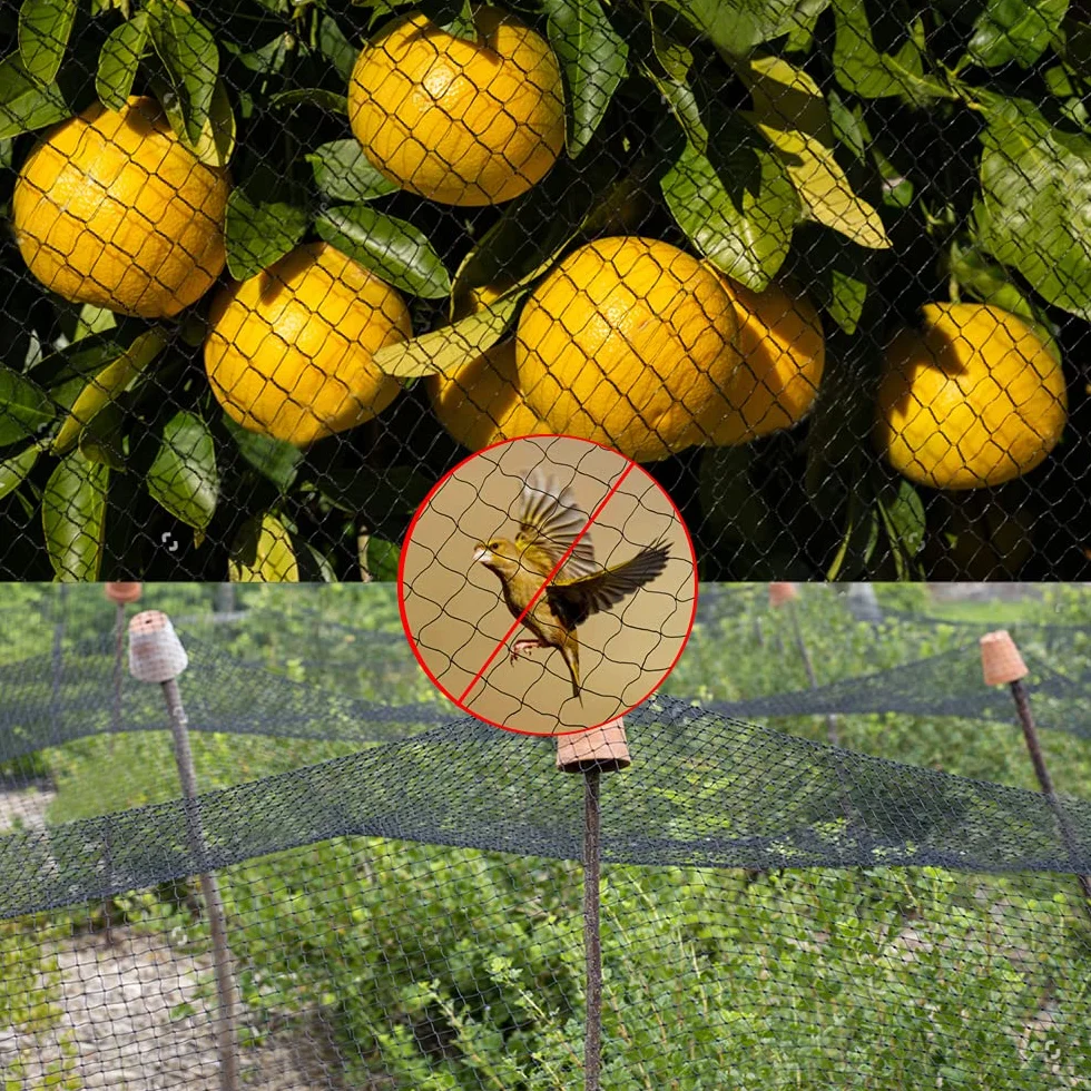 10m x 4 m Malla Antipajaros, Red Antipajaros, Red Pajaros Proteccion Malla Anti-pájaros de Protección de Frutas, Plantas, Cultivos Verduras Jardín - Negra