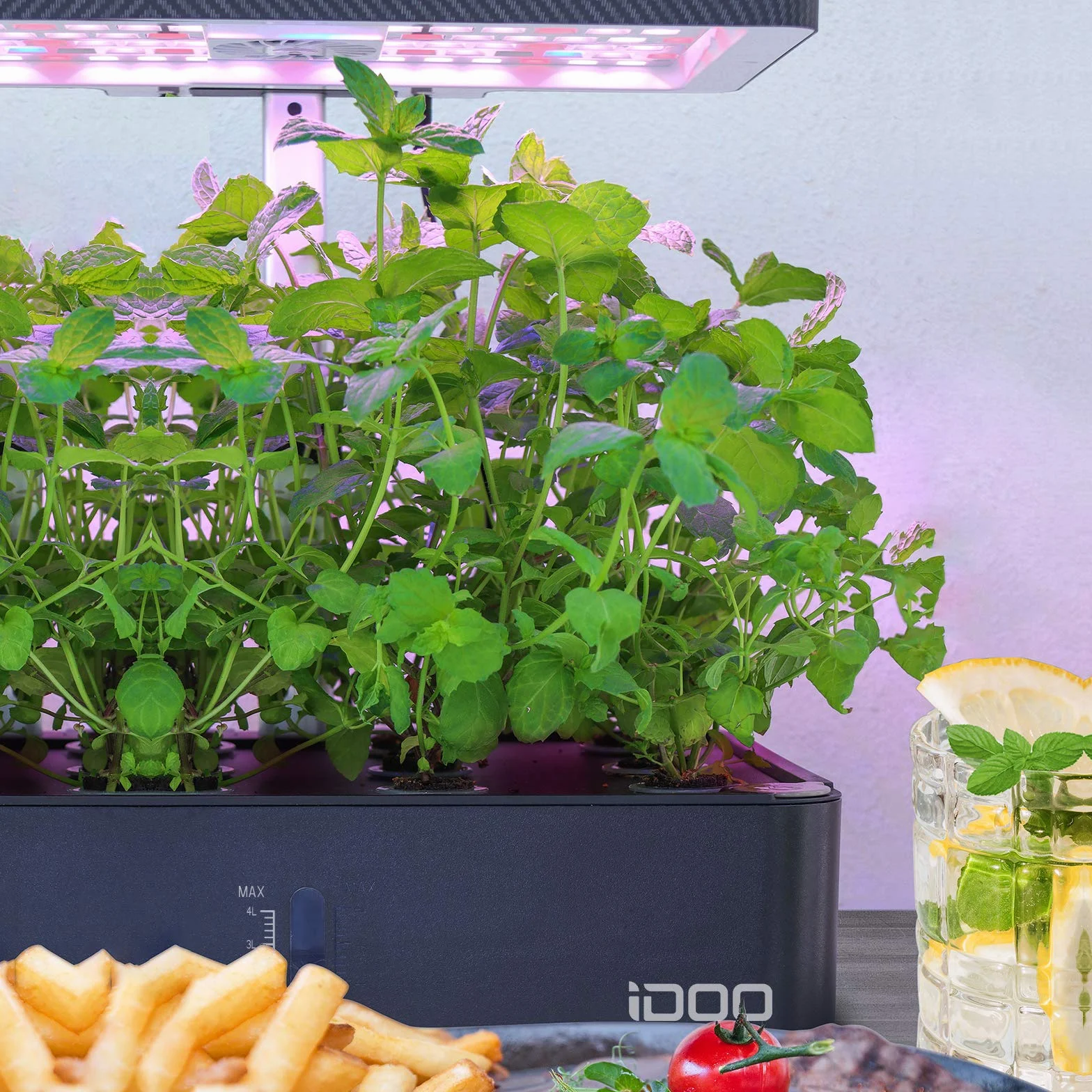 iDOO Accesorios de Hidroponia Kit Completo, Hidroponia, 12 Esponjas de Crecimiento, Kit de 12 Cestas, 12 Tarjetas de Etiqueta, 12 Cúpulas y Nutrientes Sólidos A&B para Sistema de Cultivo Hidroponico