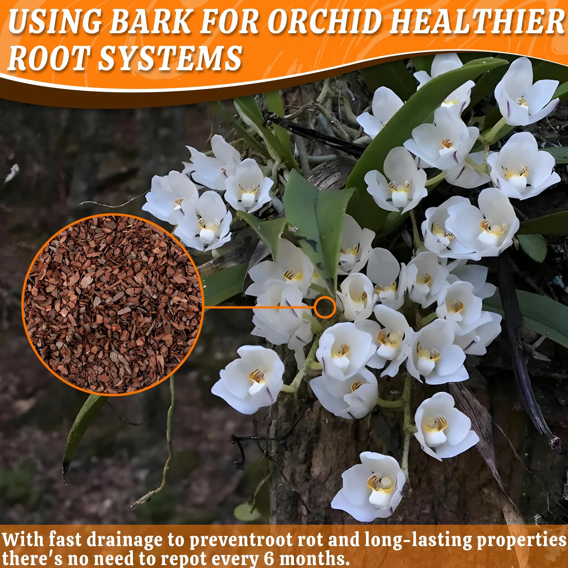 AVALUTION Corteza de orquídea para macetas, corteza de orquídea orgánica de 3 cuartos de galón para plantas, virutas de madera de pino natural, mezcla para macetas de corteza de orquídea para mantillo