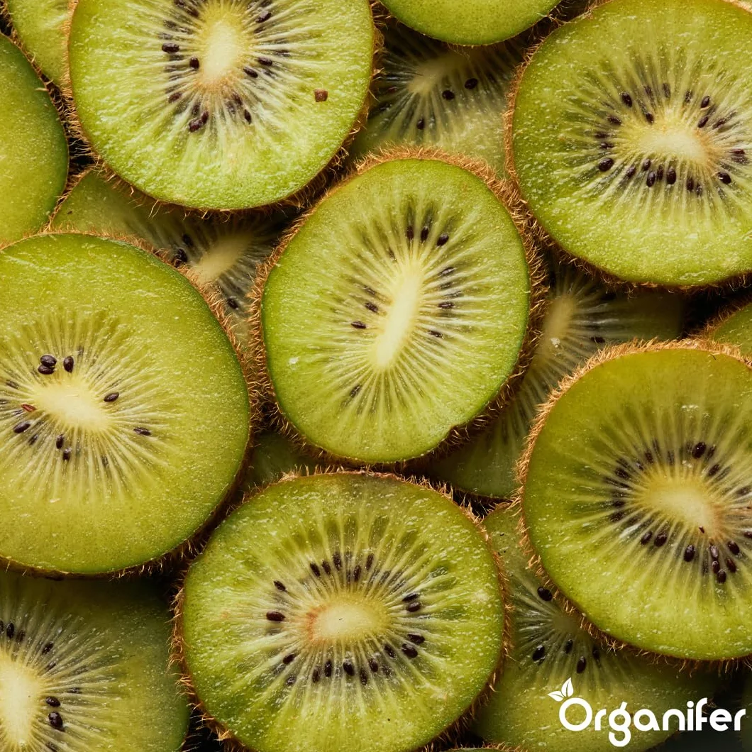 Fertilizante Líquido Orgánico 2x1L Para Kiwi – Favorece Hojas Lujosas Y Frutas Saludables – Organifer