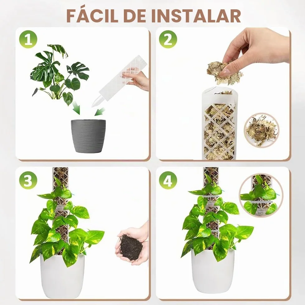Moss Pole,6 Piezas Tutores para Plantas Trepadoras,Tutor Monstera,6 Tutor Musgo Plastique, 4 Alfileres, 4 Botellas de Goteo, 4 Diafragmas de Reproducción, 100 Bridas,para Hiedra, Monstera, Pothos