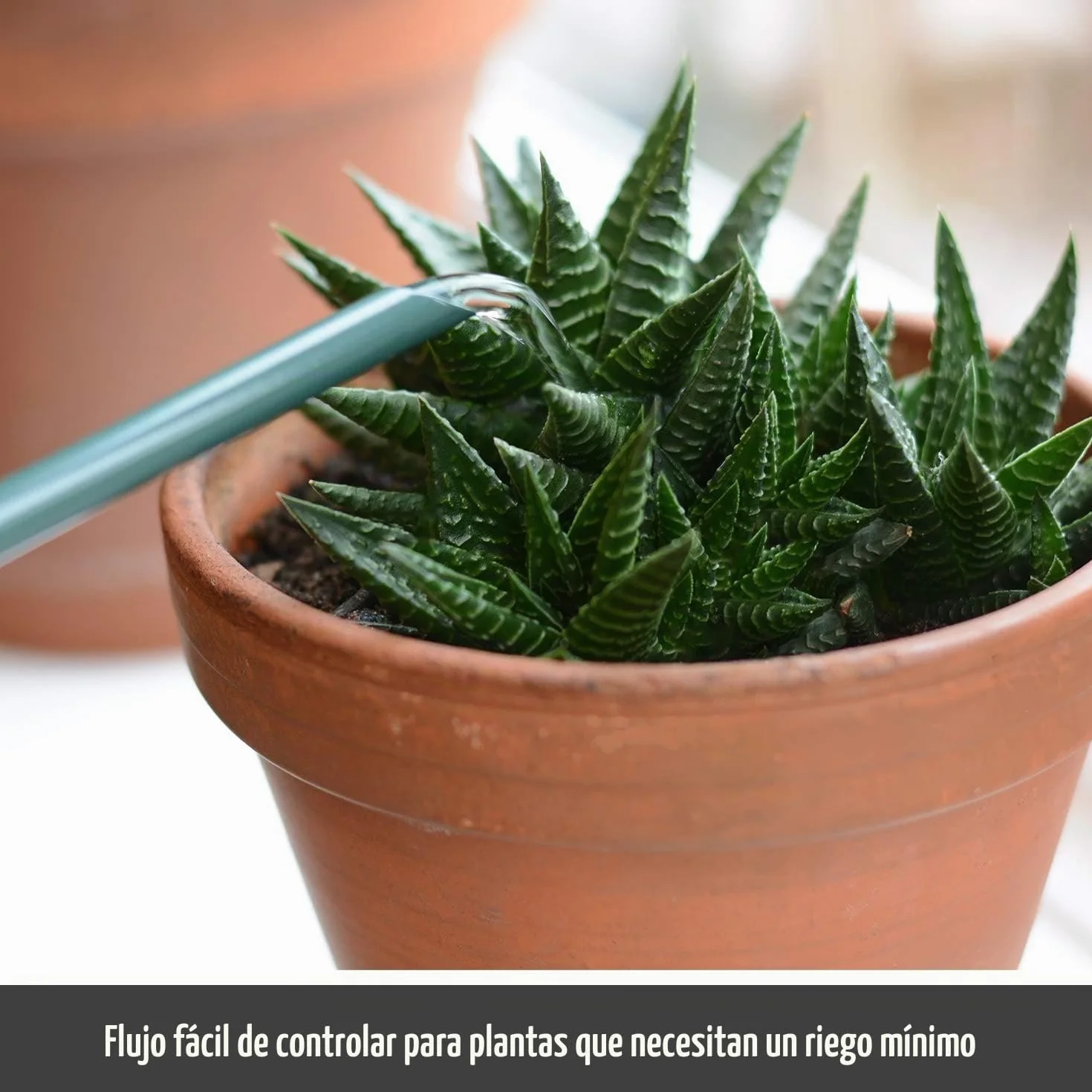 CKB Ltd® Regadera de interior pequeña de 1,1 L, acero galvanizado con recubrimiento en polvo de color verde oscuro, para plantas de interior, diseño contemporáneo de metal con boquilla estrecha y