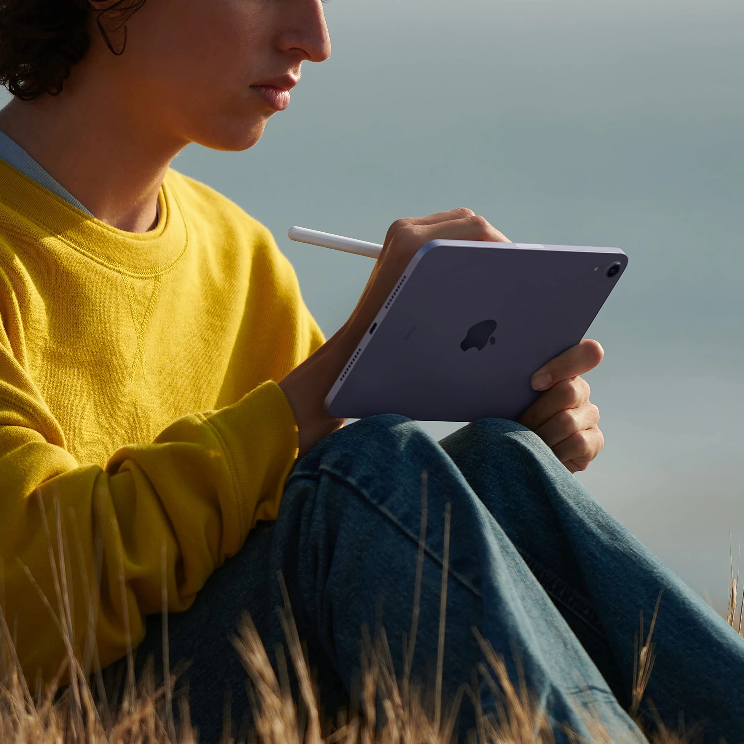 Apple iPad Mini 8.3" Wi-Fi 256GB Blanco Estrella Reacondicionado