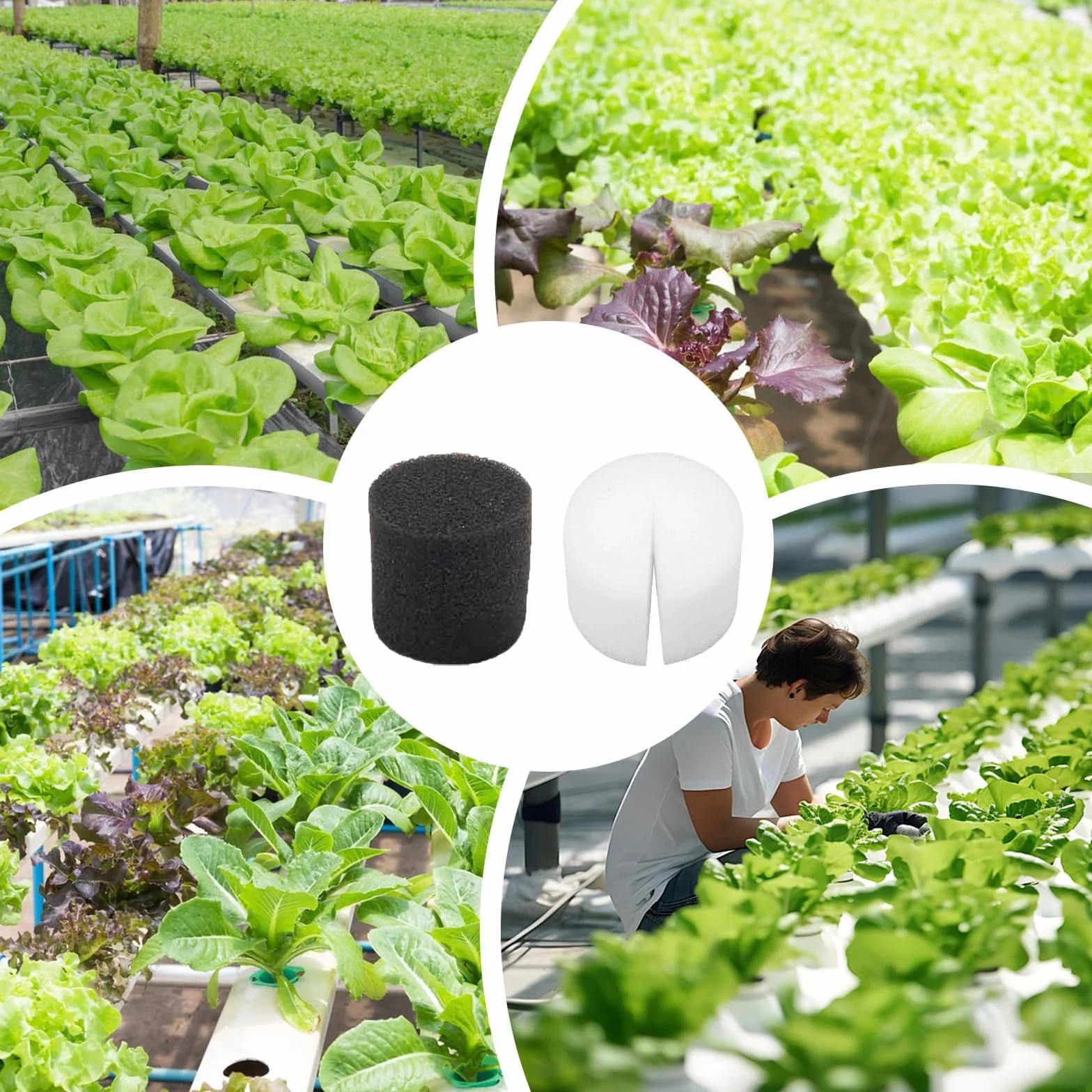 50 Piezas 32 * 30mm Esponja Hidropónica, Soilless Hydroponics, Plantar Herramientas de Esponja, Esponjas Hidropónicas Sin Tierra, para Cultivar Hortalizas y Flores