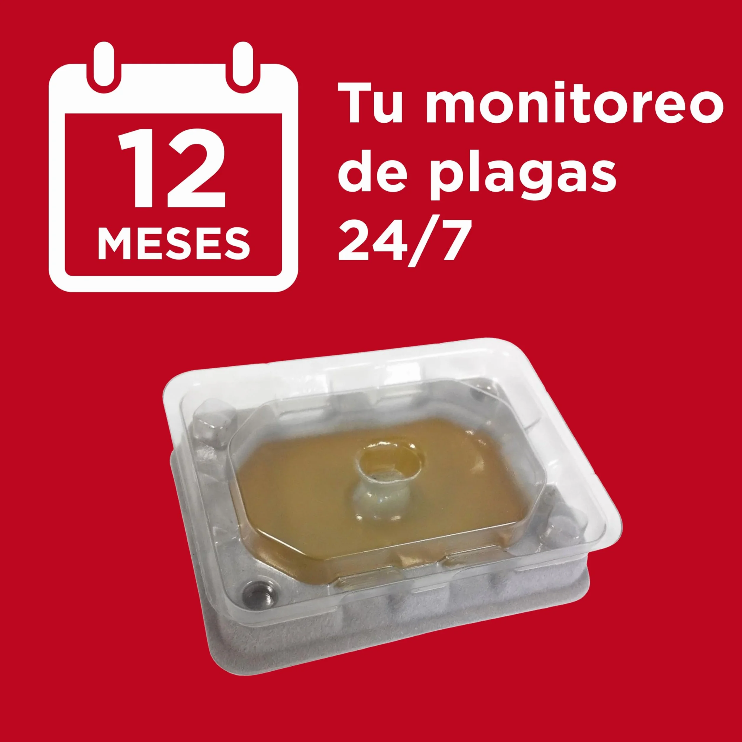 Catchmaster Detectores de chinches - 4 Unidades - Producto Potente contra plagas - Compatible con Fundas Protectoras - Monitor de chinches