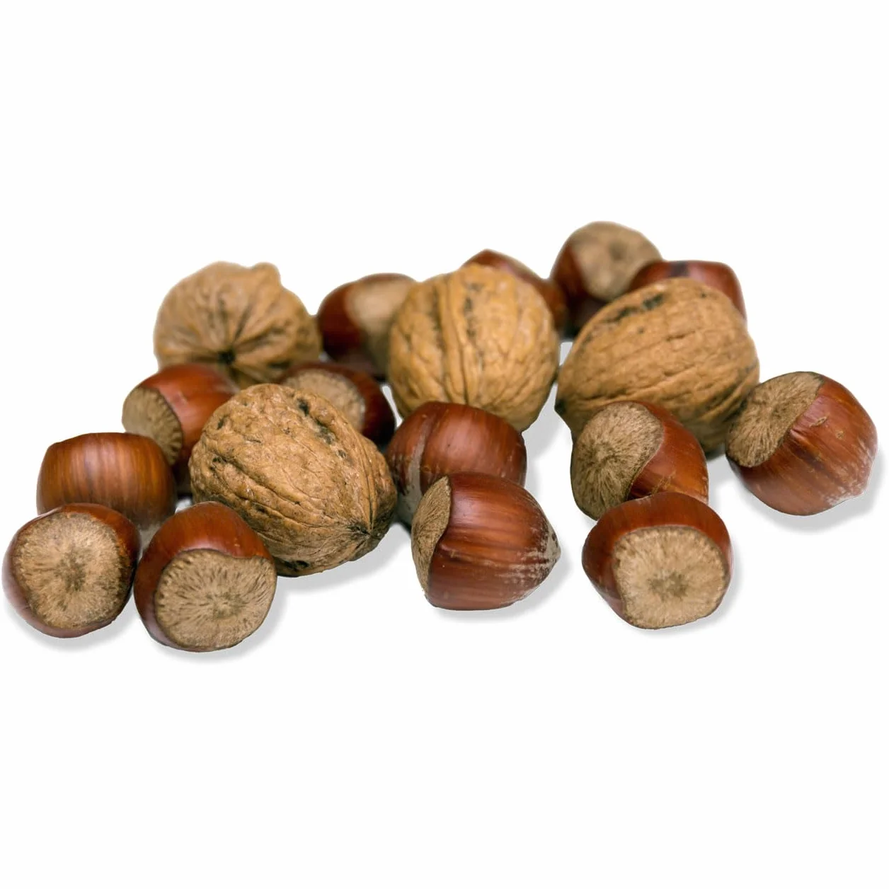 JR FARM Garden - Ardilla de 250 g