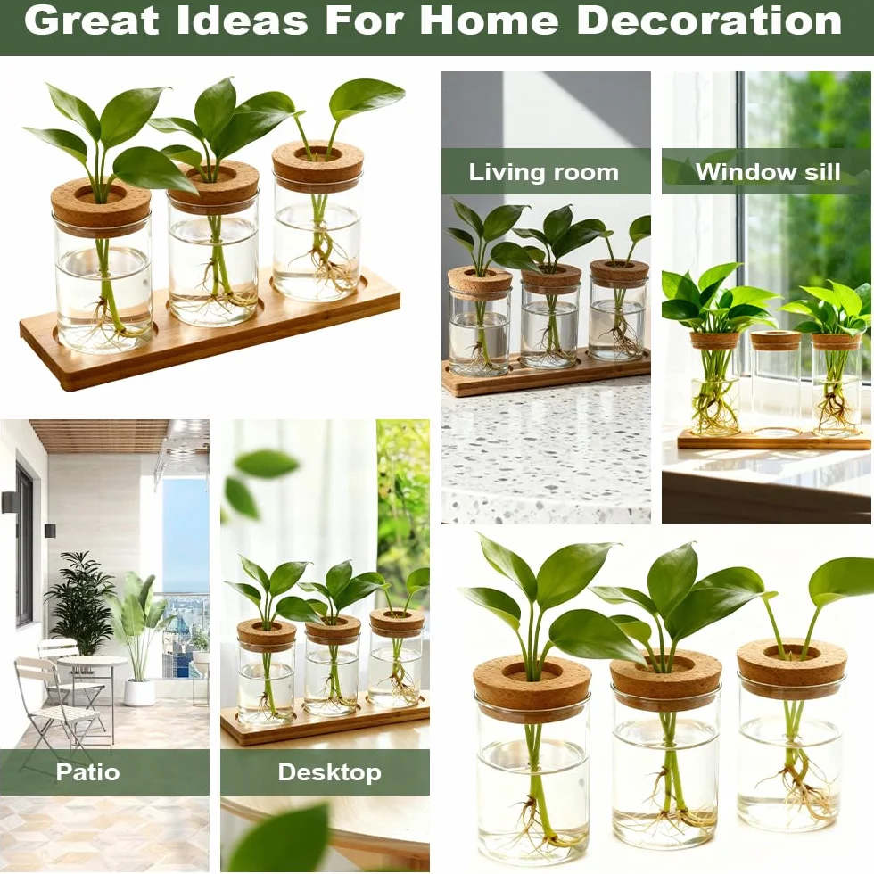 Estación de Propagación de Plantas Jarrón Hidropónico Cristal Jarrón Cultivo Hidropónico Bandeja Vidrio para Cultivo Hidropónicas 3 Jarronita300ml Cristal Decorativas para Esquejes de Plantas