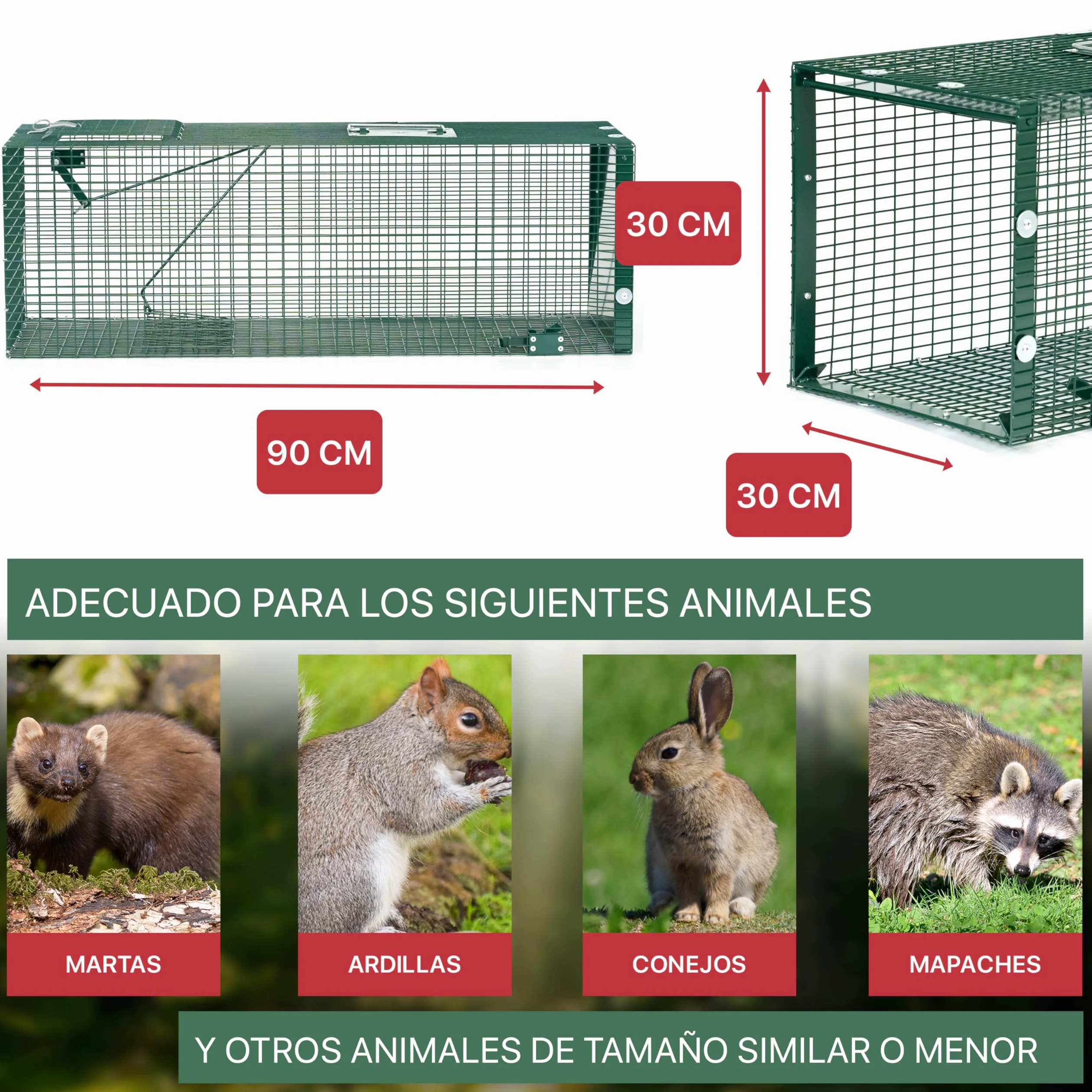 ITA Trampa para Animales Vivos 5002-90x30x30 cm - por Martas Gatos Ratas - 1 Puerta, Resistente al Tiempo, Reutilizable, Montada - Made in EU