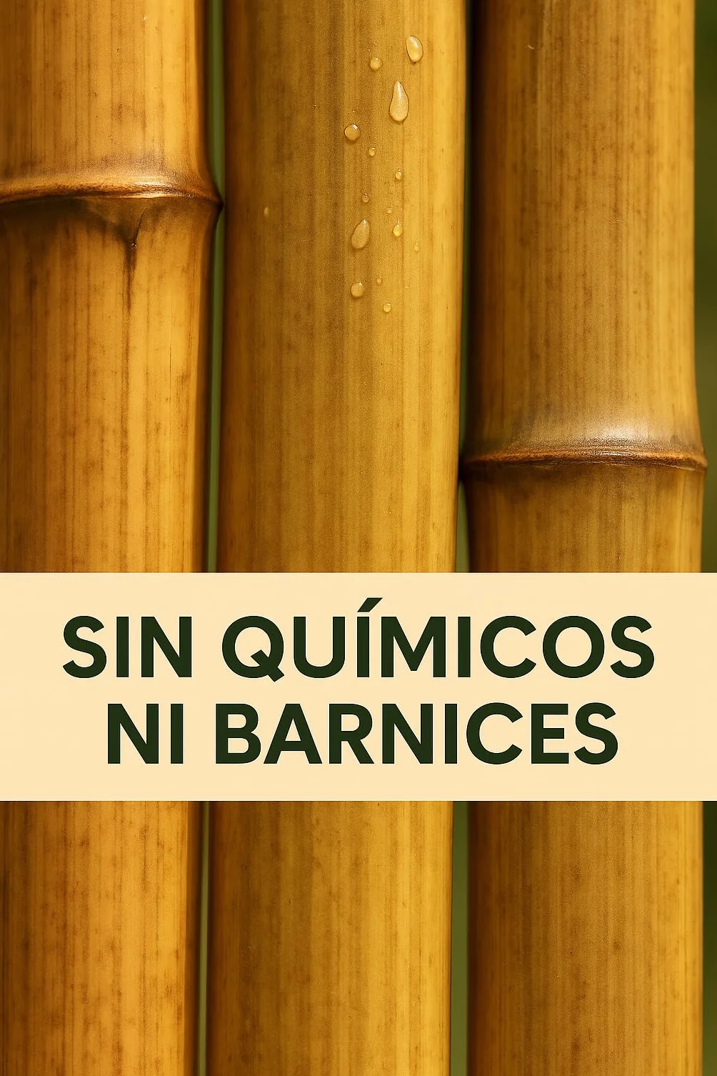 50 Tutores de Bambú 120 cm Ø 10/12 mm | Estacas de Jardín y Cañas para Huerto | Soportes Resistentes para Macetas, Flores y Cultivos | Color Natural | Eco-Friendly