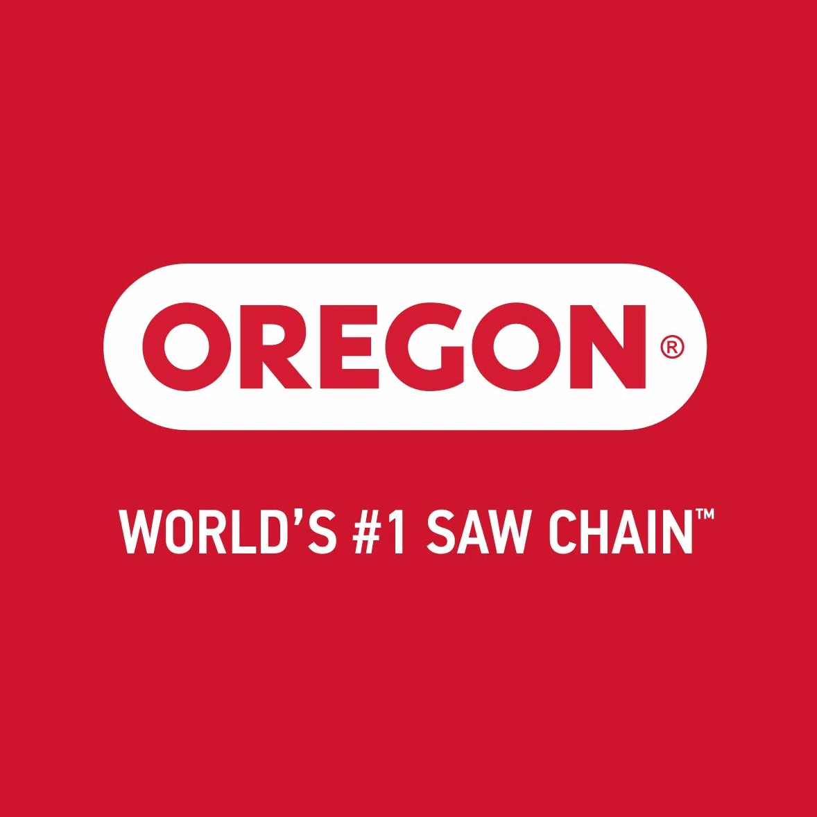 Oregon 637237 Speedcut Nano Kits de conversión de piñones de Barra de Cadena, Gris