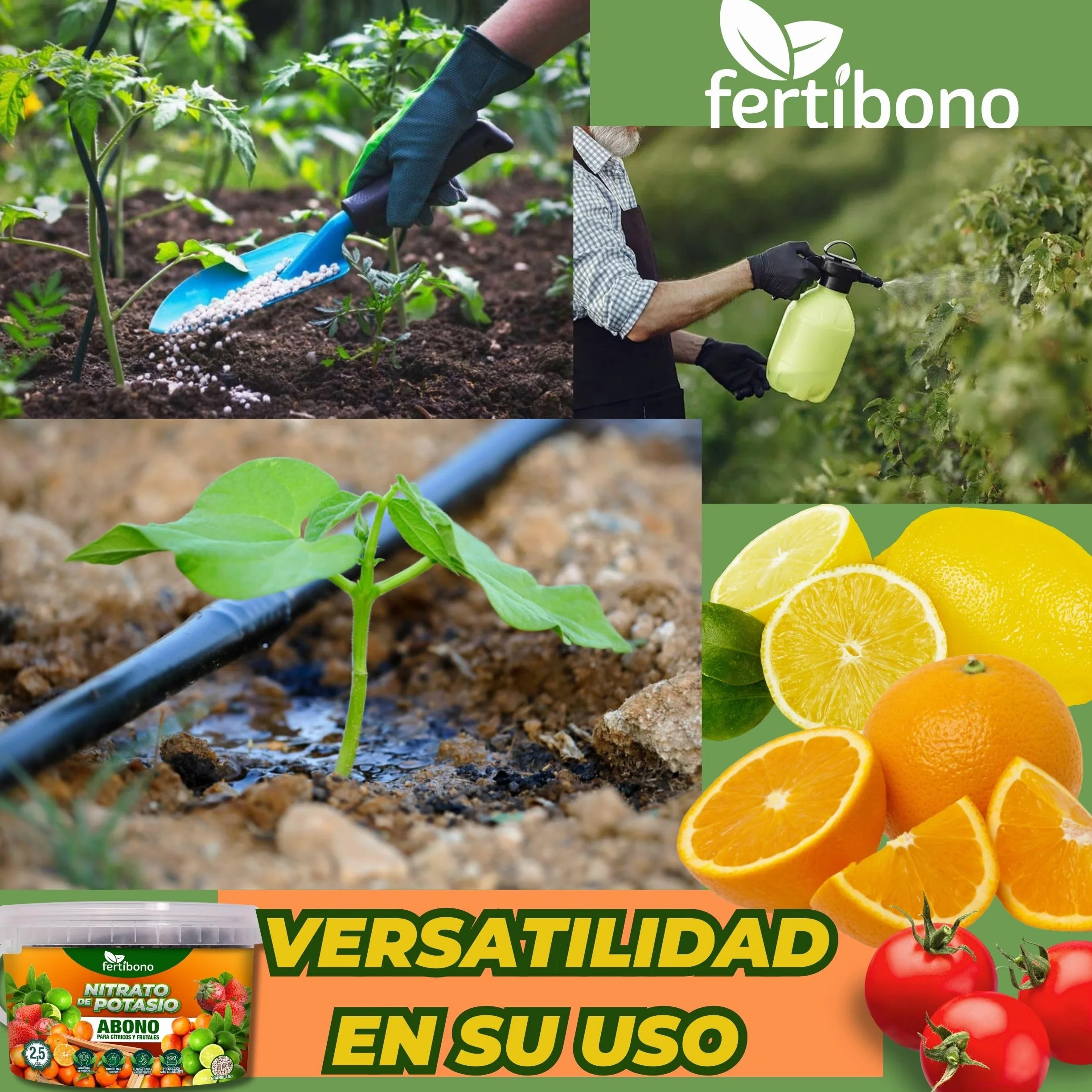 FERTIBONO Nitrato de potasio,Puro (KNO3) 13-00-46, Aumenta el Tamaño y la Calidad de la Fruta, los Azúcares y el Rendimiento de los Cítricos (2.5.0)