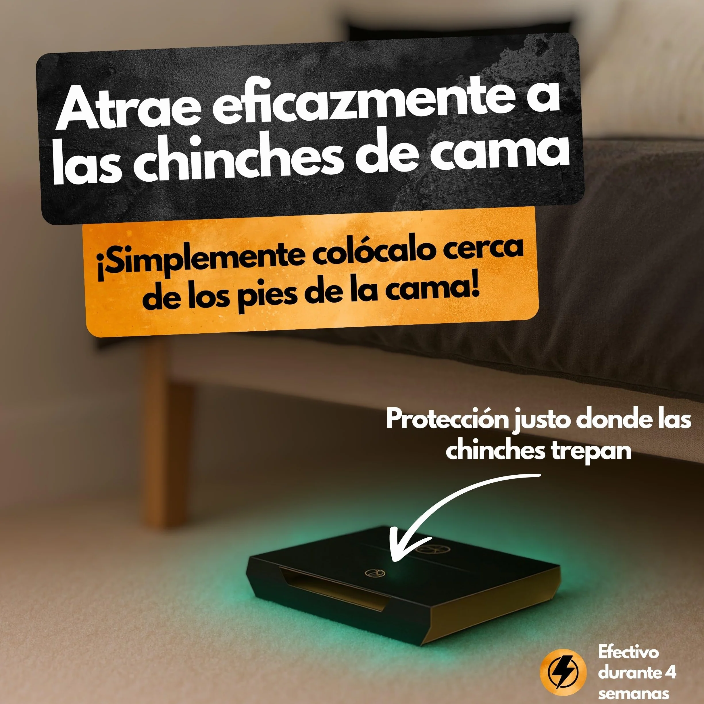 Trampa para chinches – 8 unidades – Con sustancia atrayente – Eficaz hasta 4 semanas – Para determinar la necesidad y controlar la infestación – Sin químicos – Contra Cimex lectularius y C. hemipterus