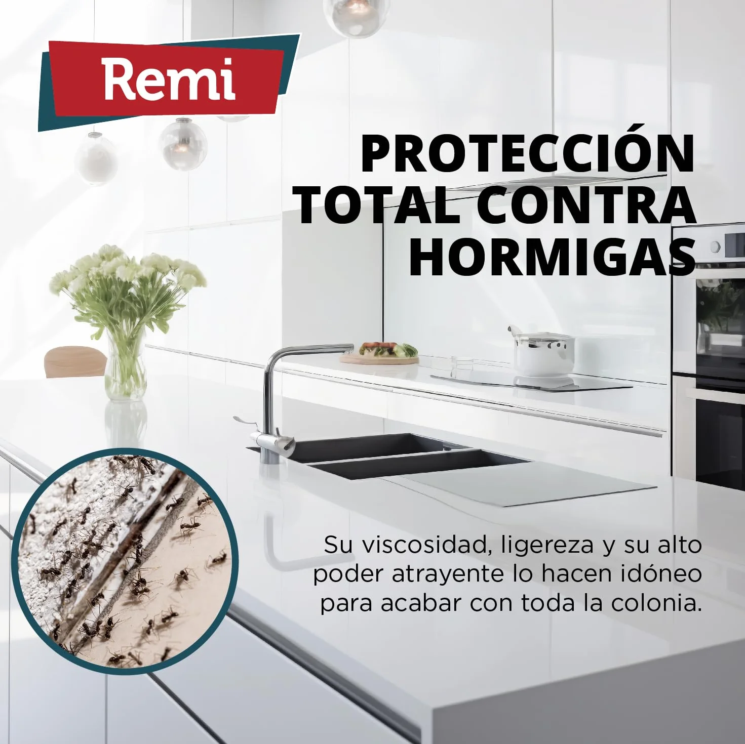 Remi Hogar Gel Hormigas Plus | Gel Insecticida Antihormigas en Jeringa | Cebo Insecticida Listo para Usar | Elimina Hormigas y el Hormiguero | Uso Interior | Alta Eficacia | Uso Doméstico