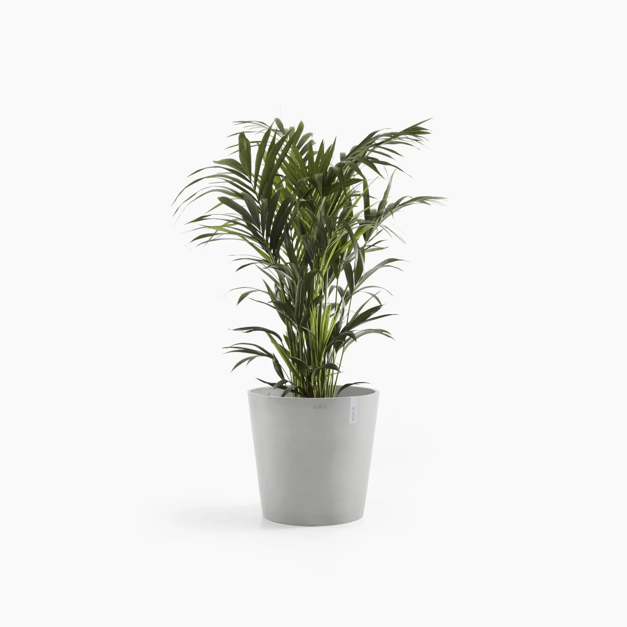 Ashortwalk ECOPOTS Ámsterdam - Maceta de plástico reciclado (50 x 44 cm), blanco