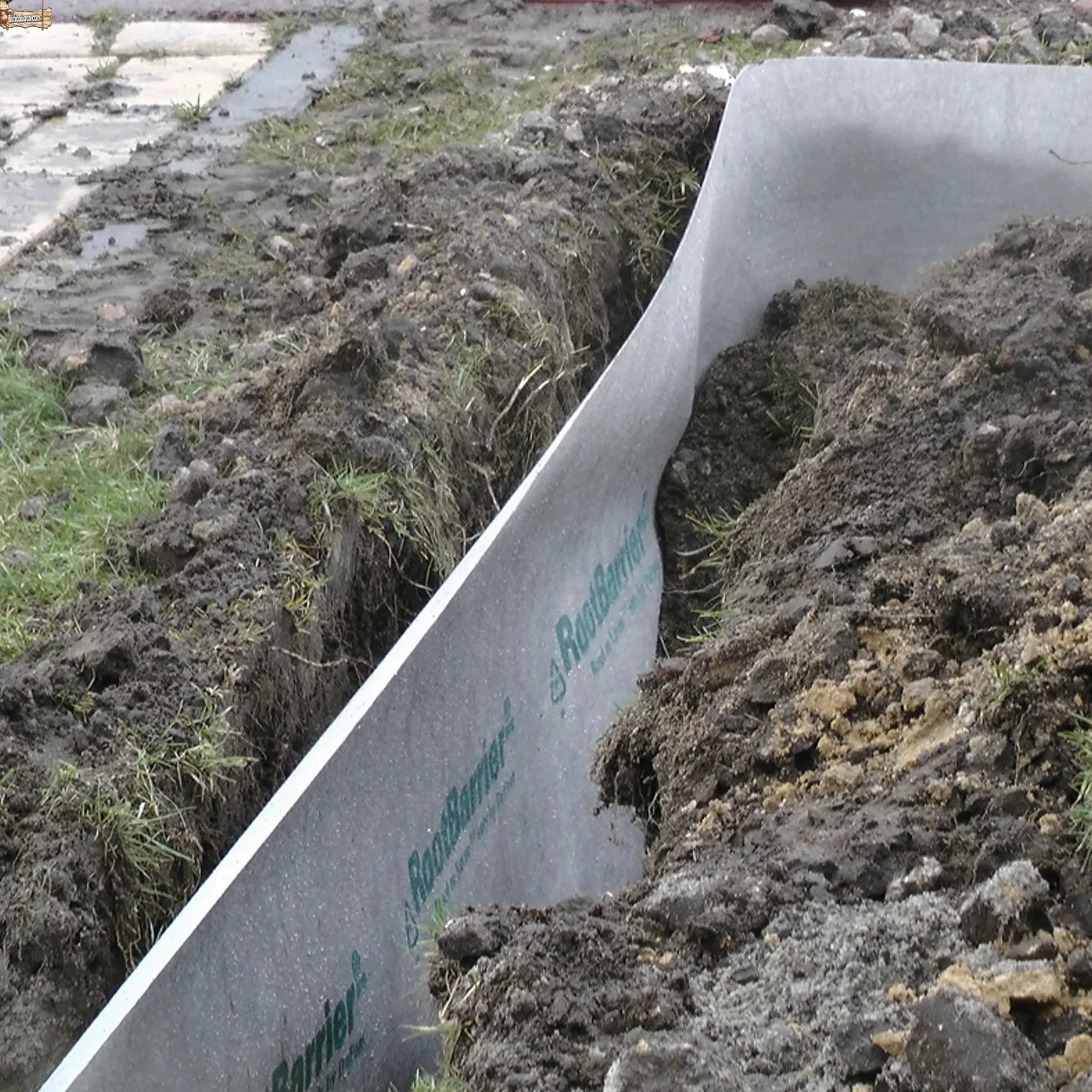 BricoLoco.com Tela antiraices. Malla geotextil en lámina. Impide el Crecimiento de raíces de árboles o Plantas a Lugares no deseados. Protege Cables, tuberías, Piscina, Estanque. (0,65x10 MTS.)
