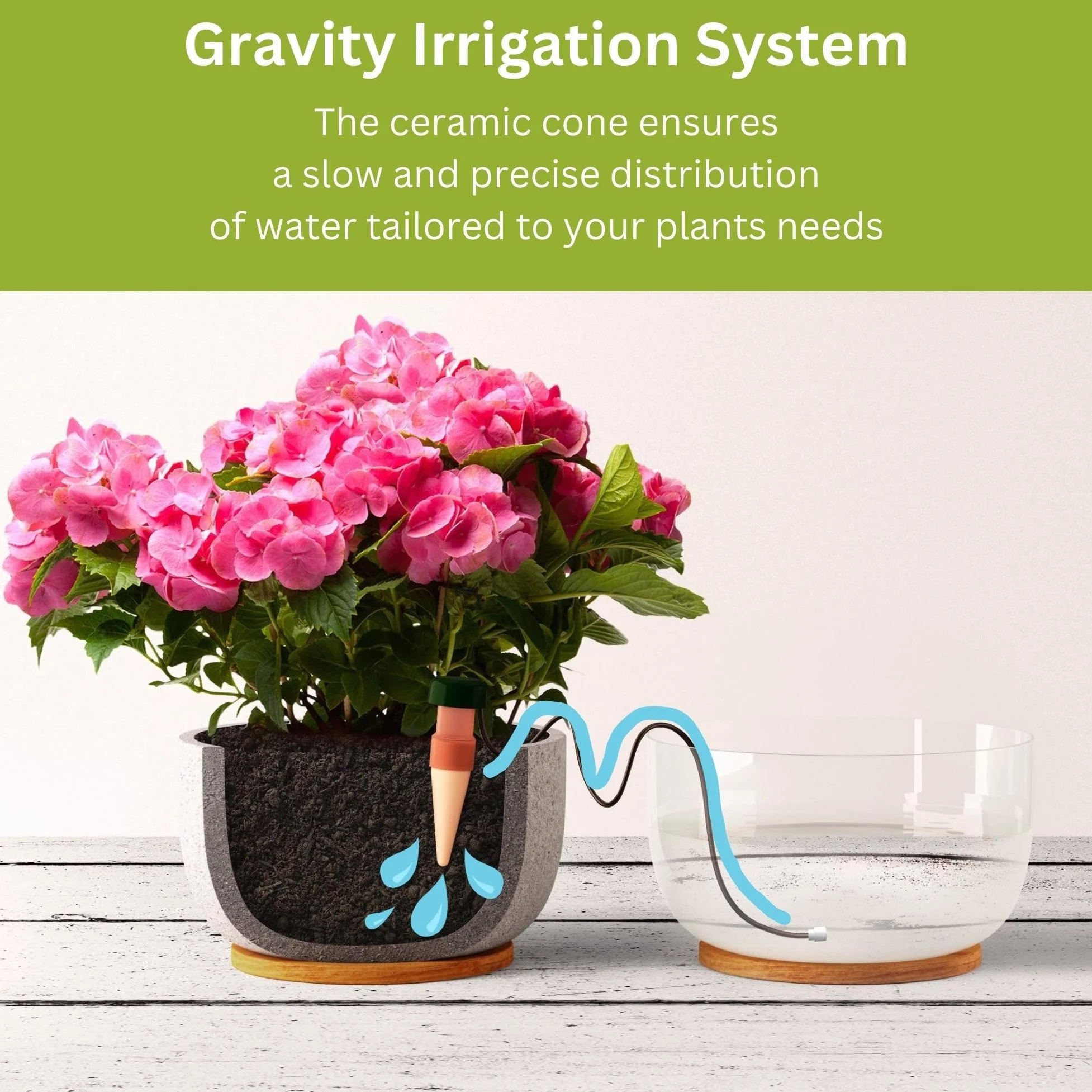 Blumat JR Parent Listing - Sistema de regado automático para Plantas, 5 Unidades