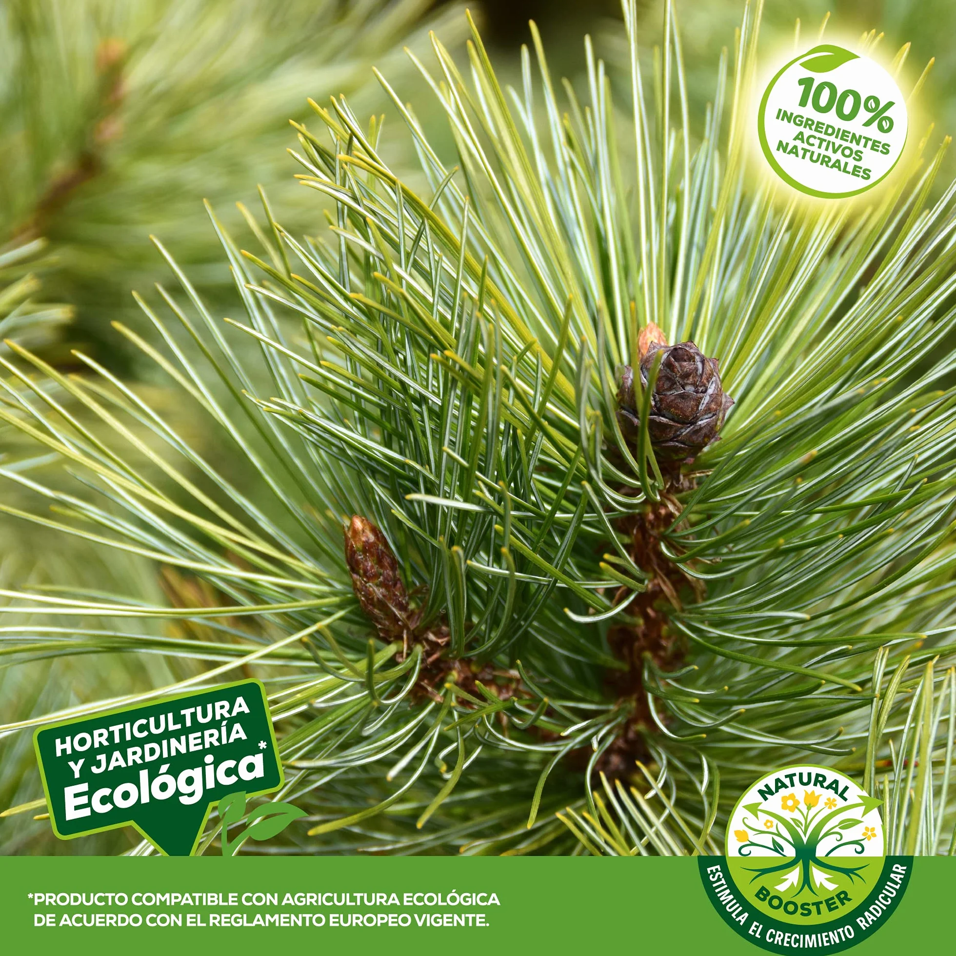 Solabiol Fertilizante para coníferas y otros arbustos, 100% orgánico