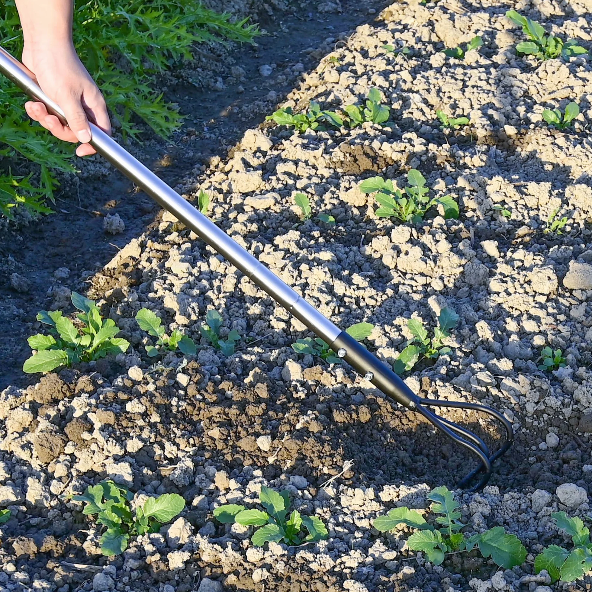 BARAYSTUS Cultivador manual robusto de 145 cm, acero al carbono, longitud ajustable, herramientas de jardín, cultivador de 3 dientes para jardín, aflojamiento del suelo