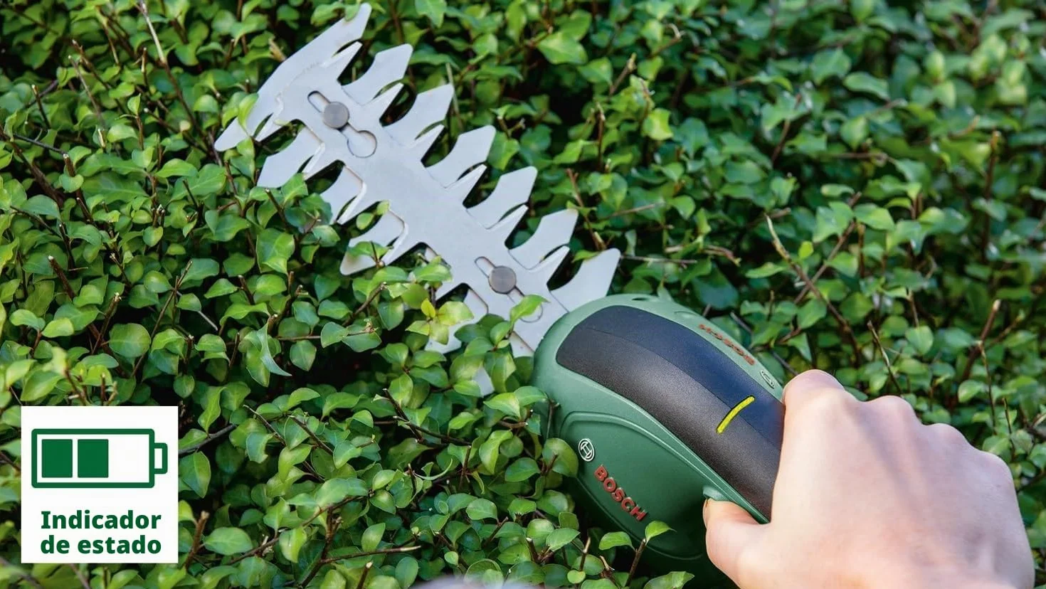 Bosch Tijeras de jardín EasyShear (batería de 3,6 V integrada, tiempo de funcionamiento: 40 min; longitud de cuchilla: 12 cm [setos] / 8 cm [césped], en caja)