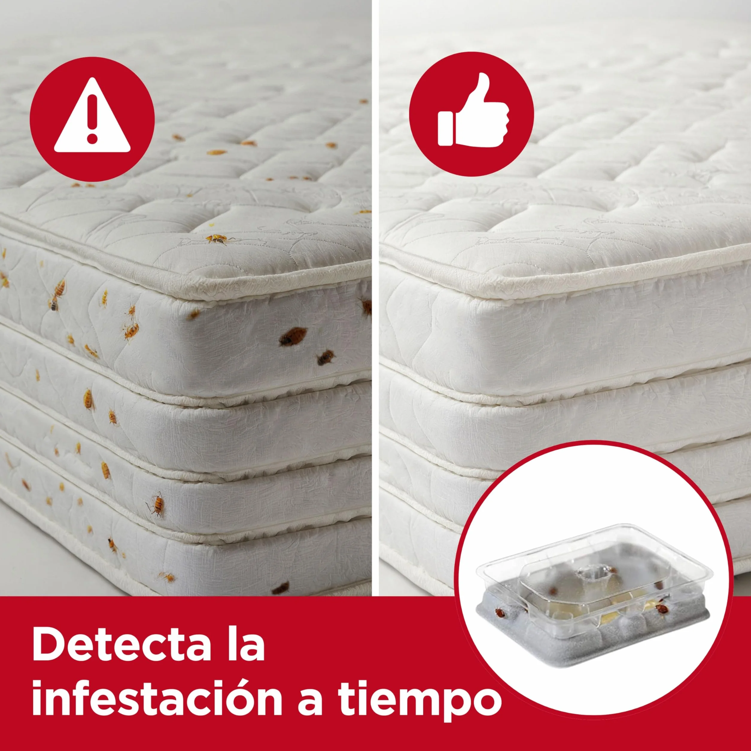 Catchmaster Detectores de chinches - 4 Unidades - Producto Potente contra plagas - Compatible con Fundas Protectoras - Monitor de chinches