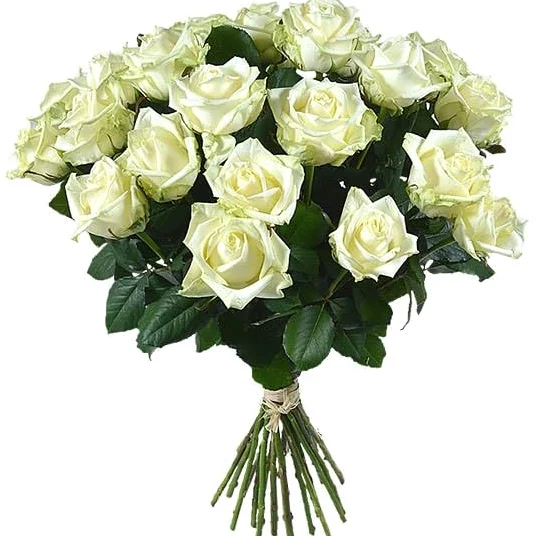 DECOALIVE | Ramo de Rosas Blancas Frescas l | Bouquet 25 Flores | Rosas Color Blanco Naturales y Frescas