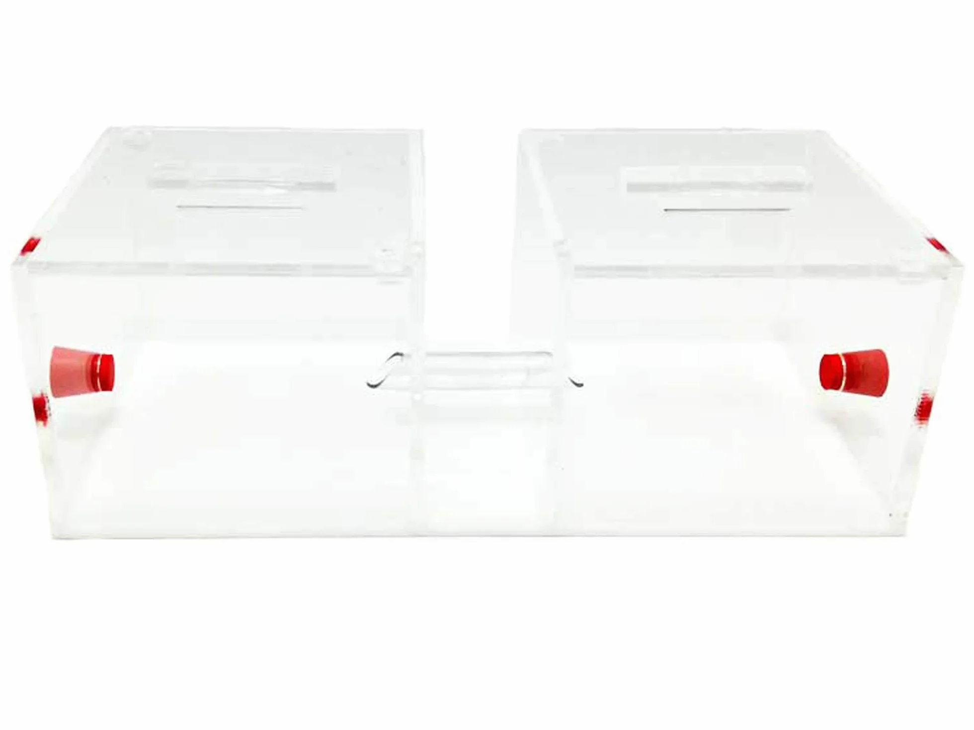 Caja FORRAJEO Doble para Las Hormigas ANTHILLSHOP.ES