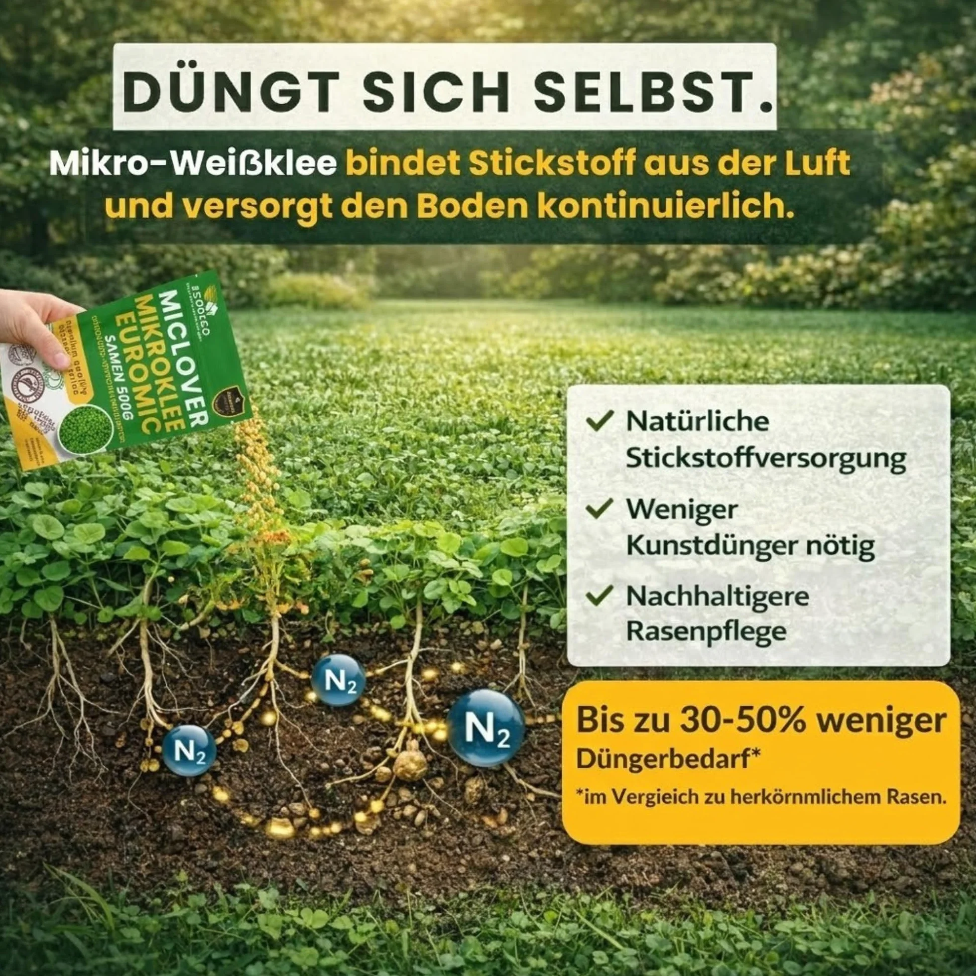 Semillas Cesped Trébol Enano 1kg (400m² Puro o 800m² con Césped) – Blanco Micro Trébol Tapizante Resistente para un Jardín Verde y Uniforme – Alternativa a Césped Natural