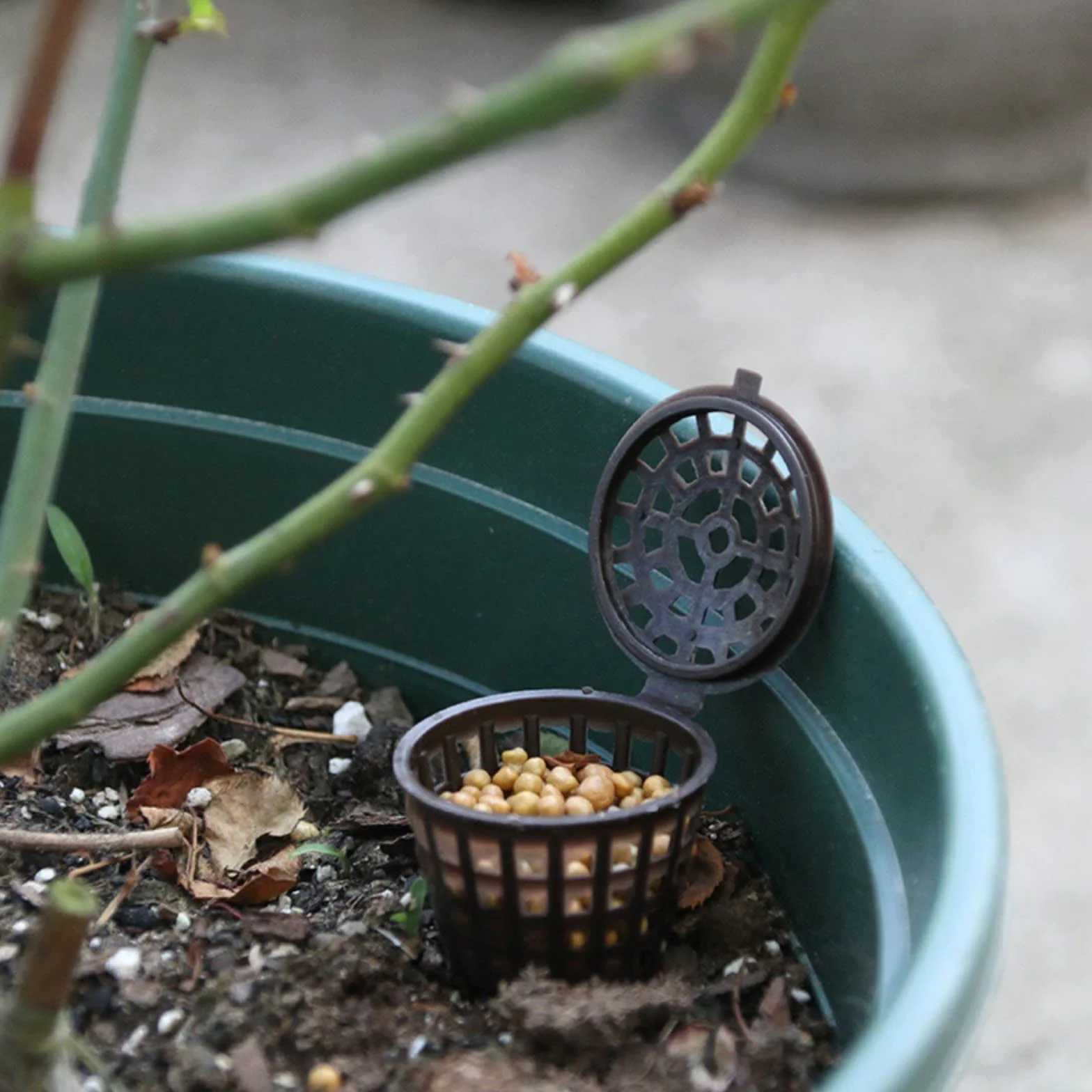 100 cestas de malla de fertilizante, orquídeas, fertilizante para jardín, bonsái, cesta de abono para bonsai jugosas orquídeas bonsái