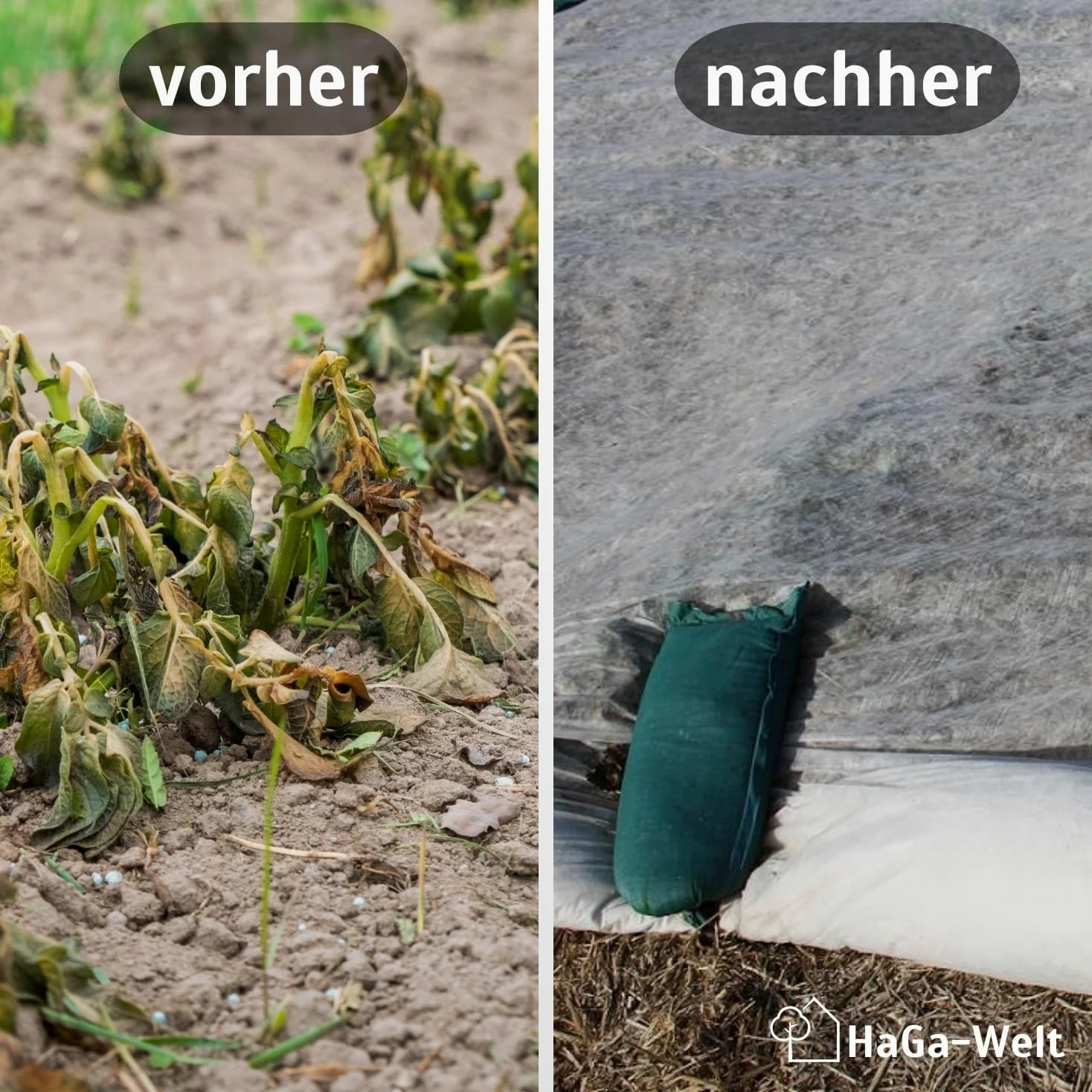 Haga - Fieltro protector para la cosecha (19 g/m2, 3,2 x 50 m)