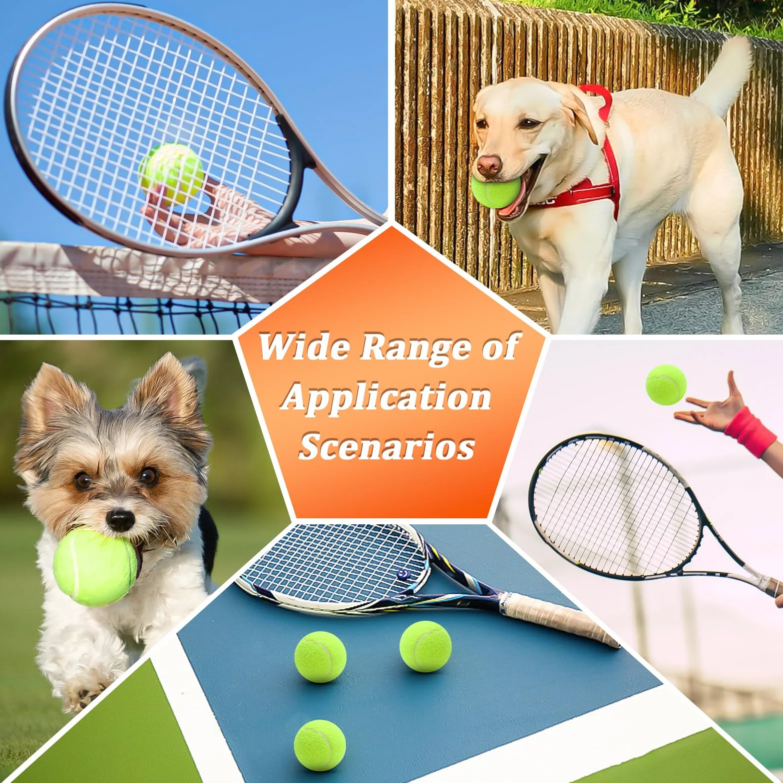 Paquete de 6 Pelotas de Tenis de Entrenamiento, Alta Elasticidad para Principiantes