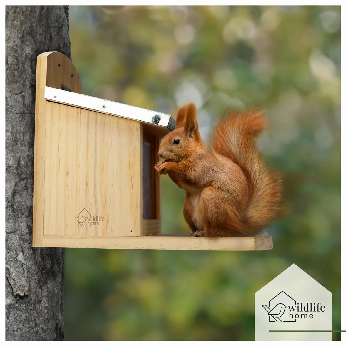 WILDLIFE HOME Comedero para ardilla XL con techo de metal, estación de alimentación de madera maciza atornillada, resistente a la intemperie y sin tratar, casa para ardillas