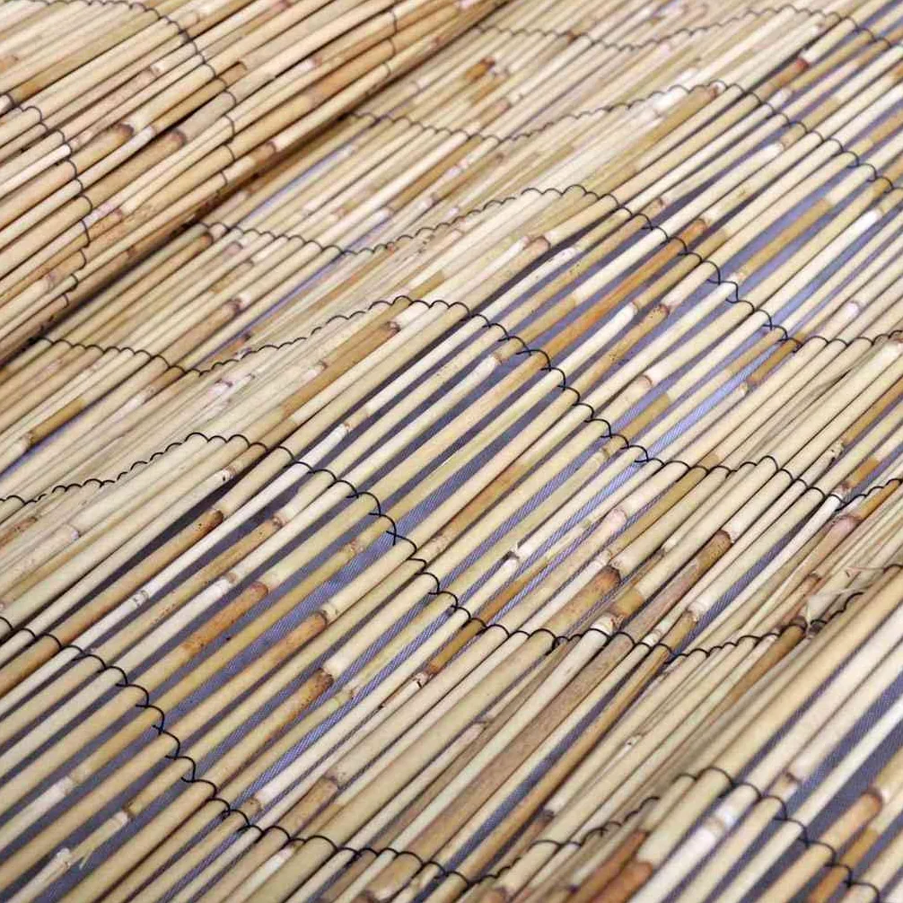 Valla natural de juncos, 300 x 160 cm, resistente a la intemperie, valla de jardín, decorativa como protección visual y valla para zonas de jardín o terraza, duradera y plegable