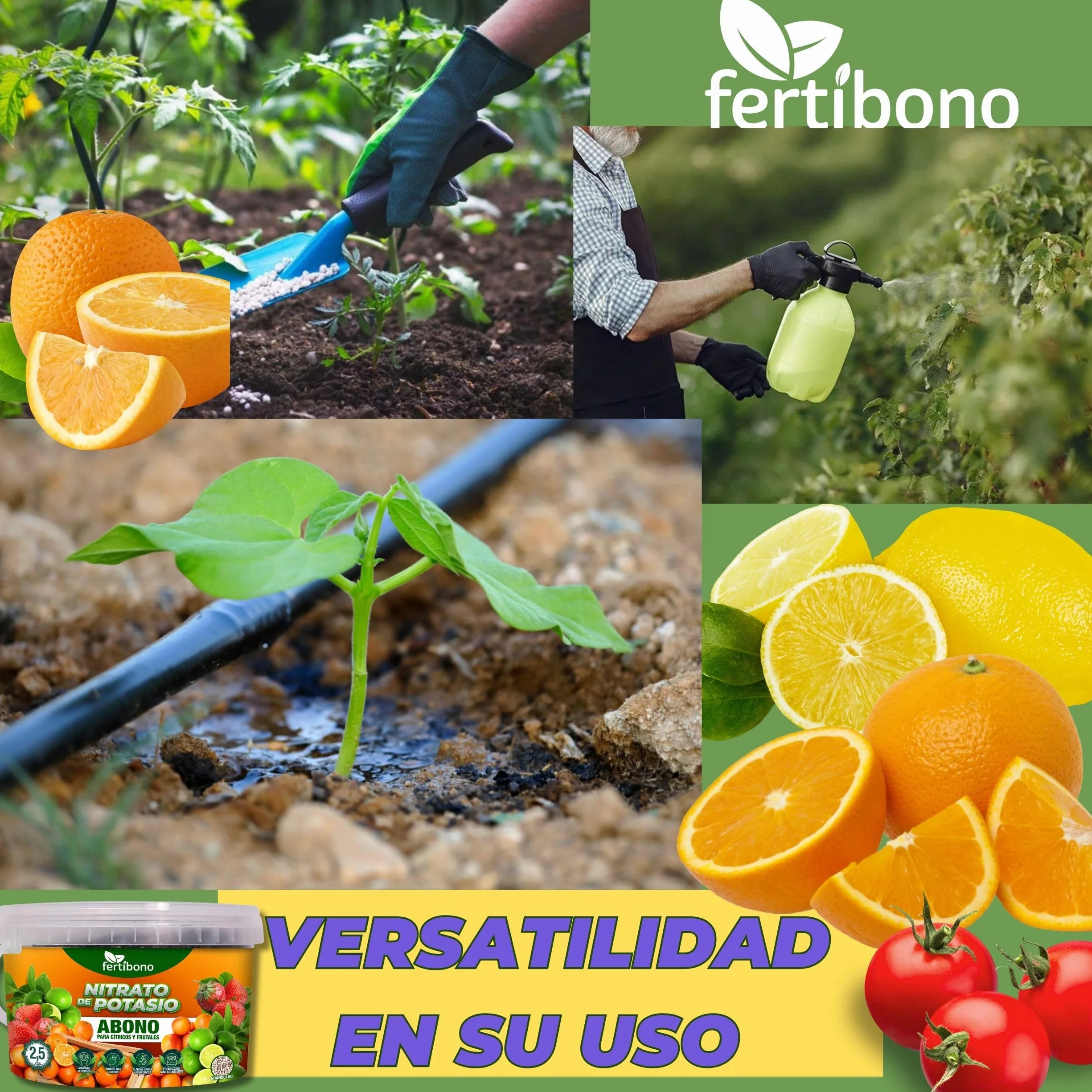 FERTIBONO Nitrato de potasio,Puro (KNO3) 13-00-46, Aumenta el Tamaño y la Calidad de la Fruta, los Azúcares y el Rendimiento de los Cítricos (2.5.0)