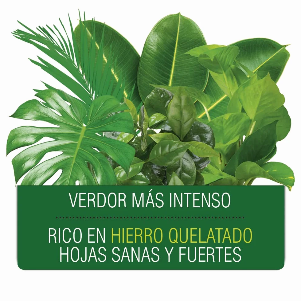 Flower - Abono Líquido 10533 para Plantas Verdes | 500 ml para Mayor Verdor | Hierro Quelatado para Hojas Sanas y Fuertes | Ideal para Kikuyu y Orquídeas, No aplica color, 10x6.2x19 cm, Abono Líquido
