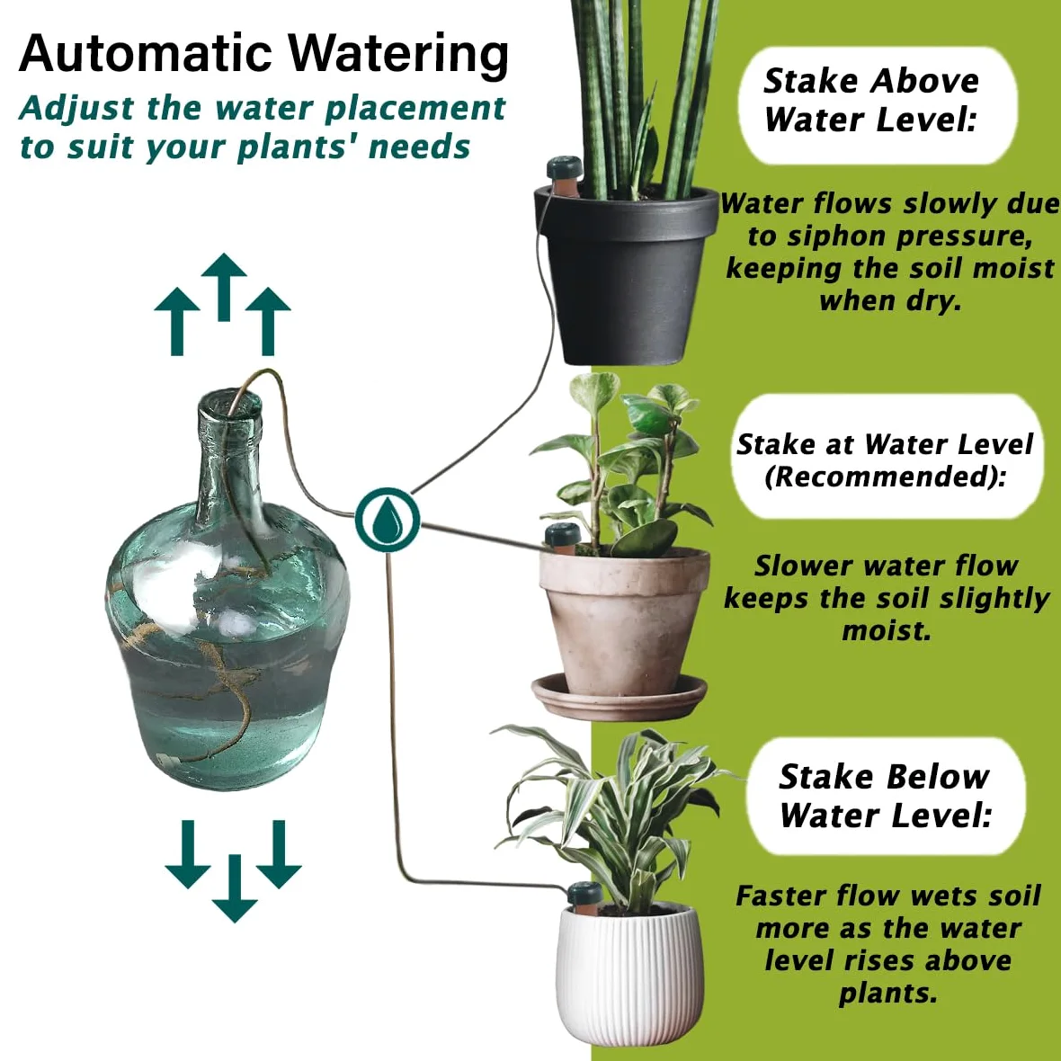 Blumat JR Parent Listing - Sistema de regado automático para Plantas, 5 Unidades