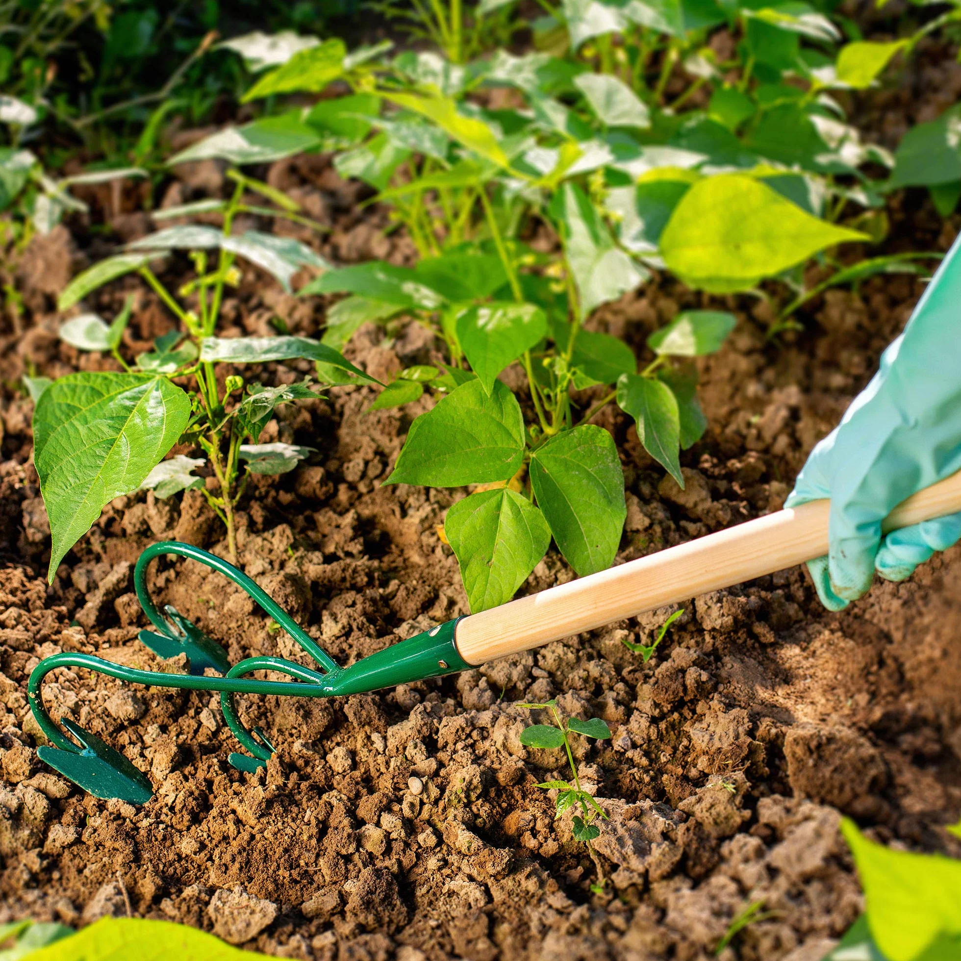 KADAX cultivador, Garra de jardín, azada de jardín para aflojar la Tierra, cultivador para el jardín, cultivador Manual de Metal, Garra de Flores, Accesorios de jardín, rastrillo de Flores