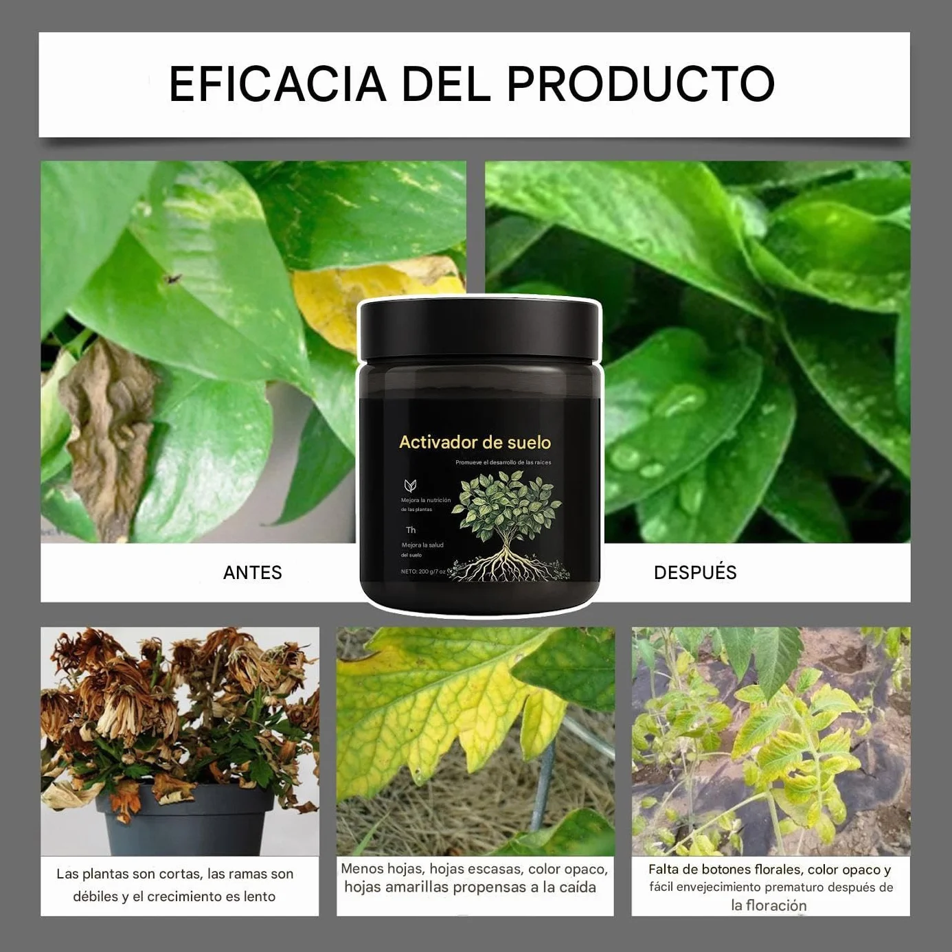 Activador de Suelo,Suave, Seguro y Fácil de Usar para Principiantes,Activador de Suelo para Jardín - para Césped, Patio, Balcón, Terraza, Jardín, y Más