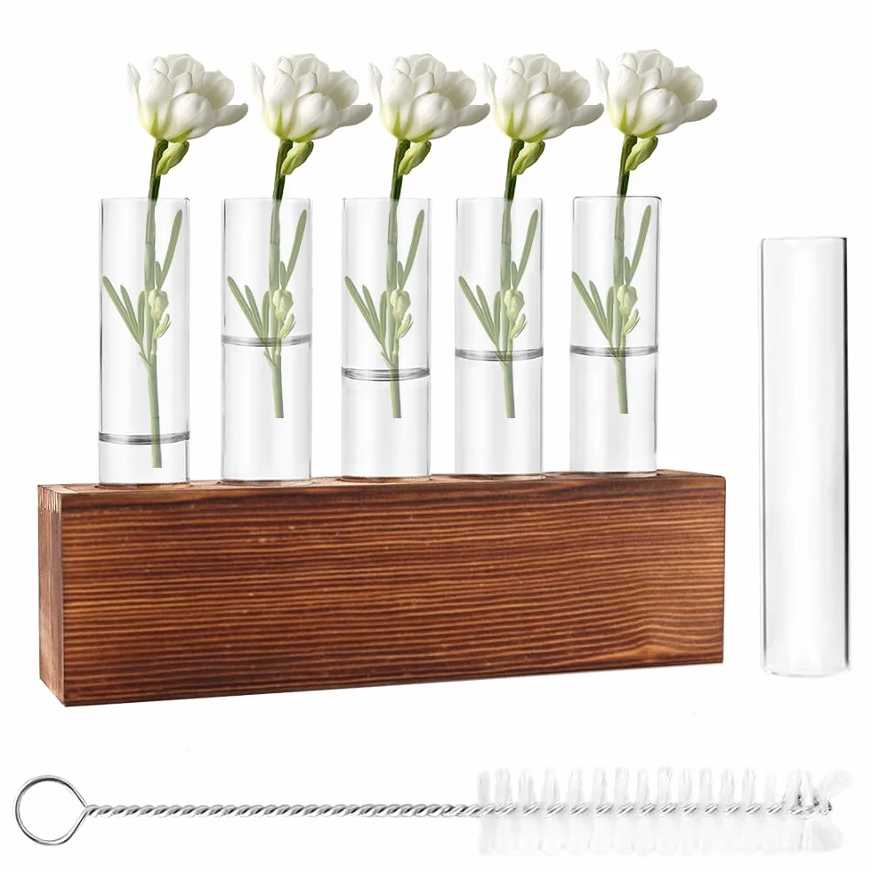 6 Jarrón Hidropónico, Jarrón de Cristal de Tubo de Ensayo Hidropónico con Soporte de Madera y Cepillar Estación Propagación Jarrón Tubo Vídrio para Plantas Hidropónicas Recortes Oficina Hogar