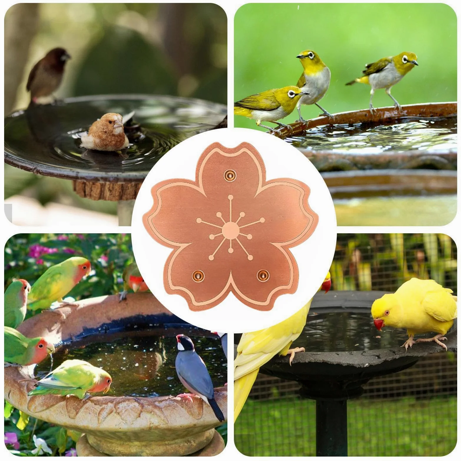Disco Limpiador en Cobre para Bebedero de pájaros Plato Purificador Estable | Disco limpiador en cobre con soporte triple para bebedero Agua Y Baño En Exteriores Jardín P