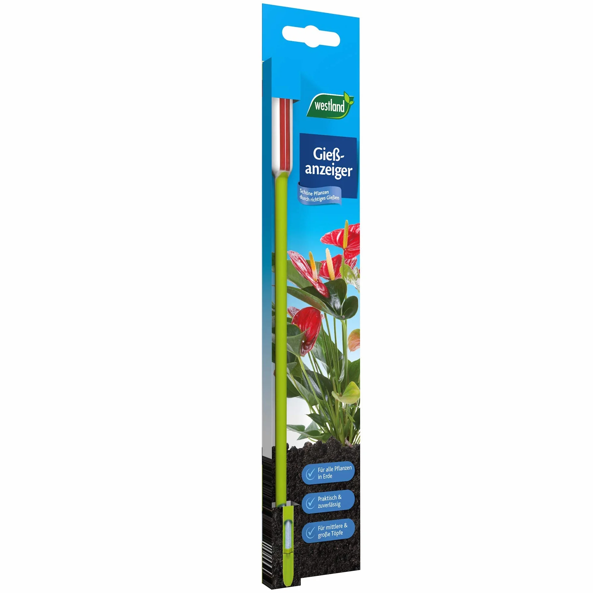 Westland indicador de riego pequeño, 16 cm, Verde – Medidor de Agua para Plantas, práctico avisador de riego para el Uso en sustrato Vegetal