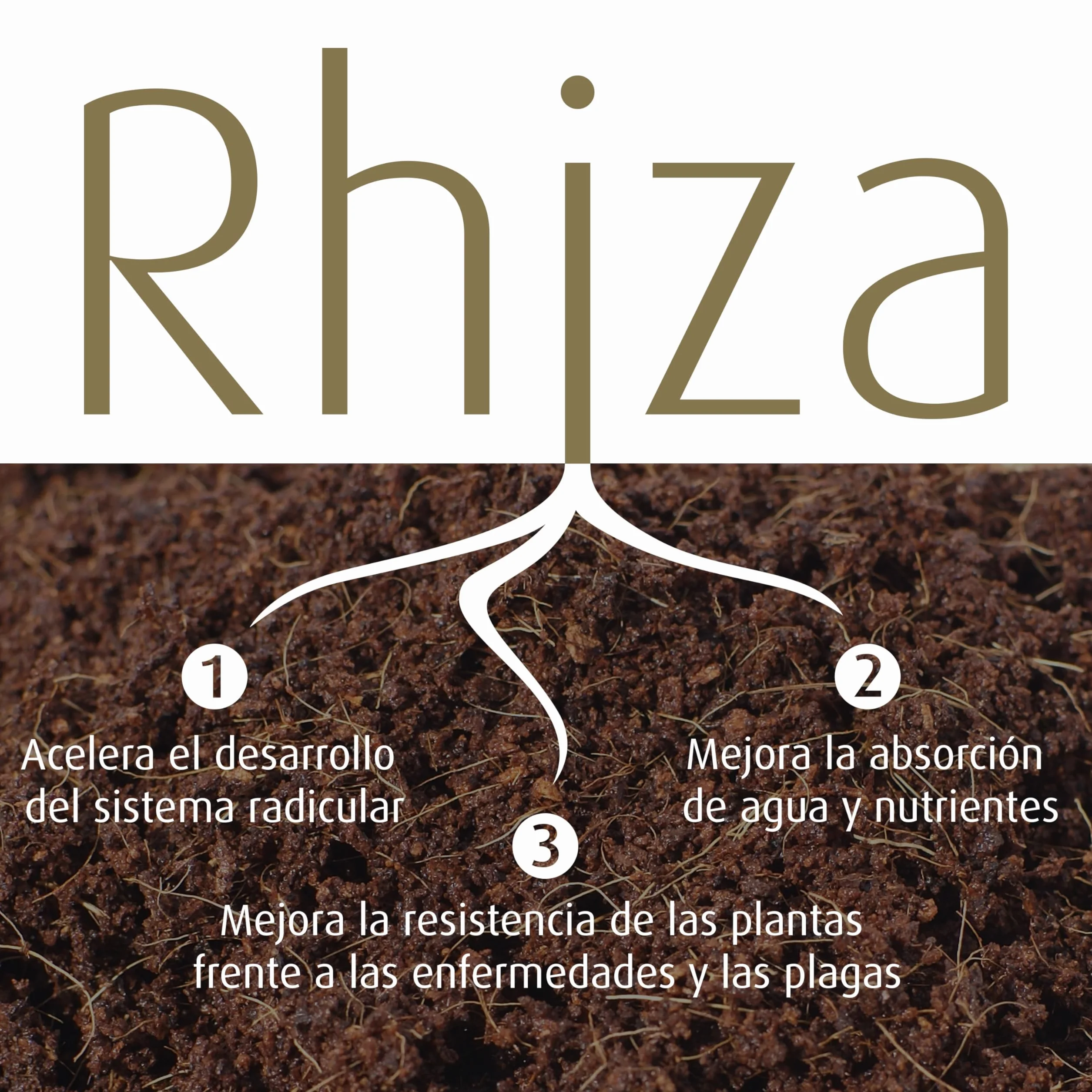UGro Rhiza1200 - Micorrizas Naturales, Hongos beneficiosos que estimulan el Crecimiento y Mejoran la Nutrición de las Plantas. Para el desarrollo Rápido de las Raíces
