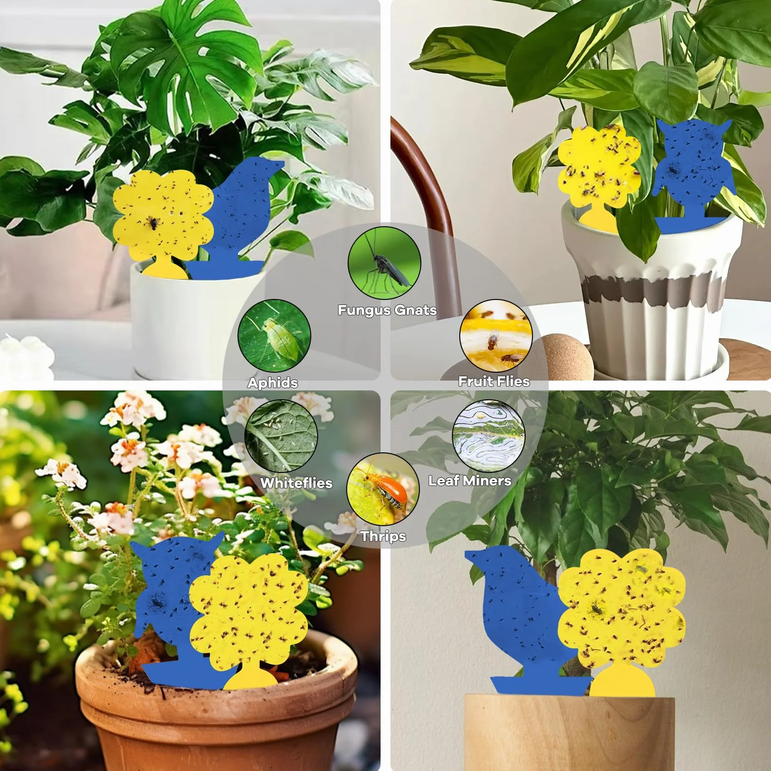 Trampas Adhesivas para Plantas 26 Unidades, Atrapa Moscas de Doble Cara para Interior y Exterior, Potente Control de Plagas No Tóxico para Mosquitos, Moscas de la Fruta y Pulgones