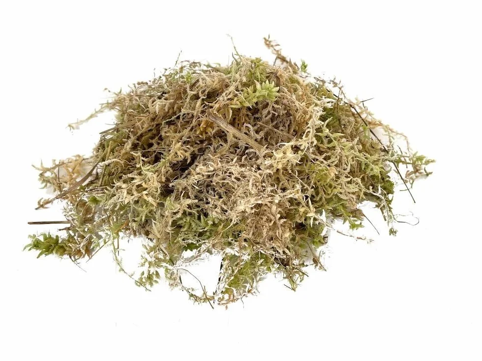 Garden Center Shop | Musgo Sphagnum 5L. | Alta Retención de Humedad | Aireación y Protección del Sustrato | Ideal Orquídeas, Bonsáis y Plantas Delicadas | Musgo humedo